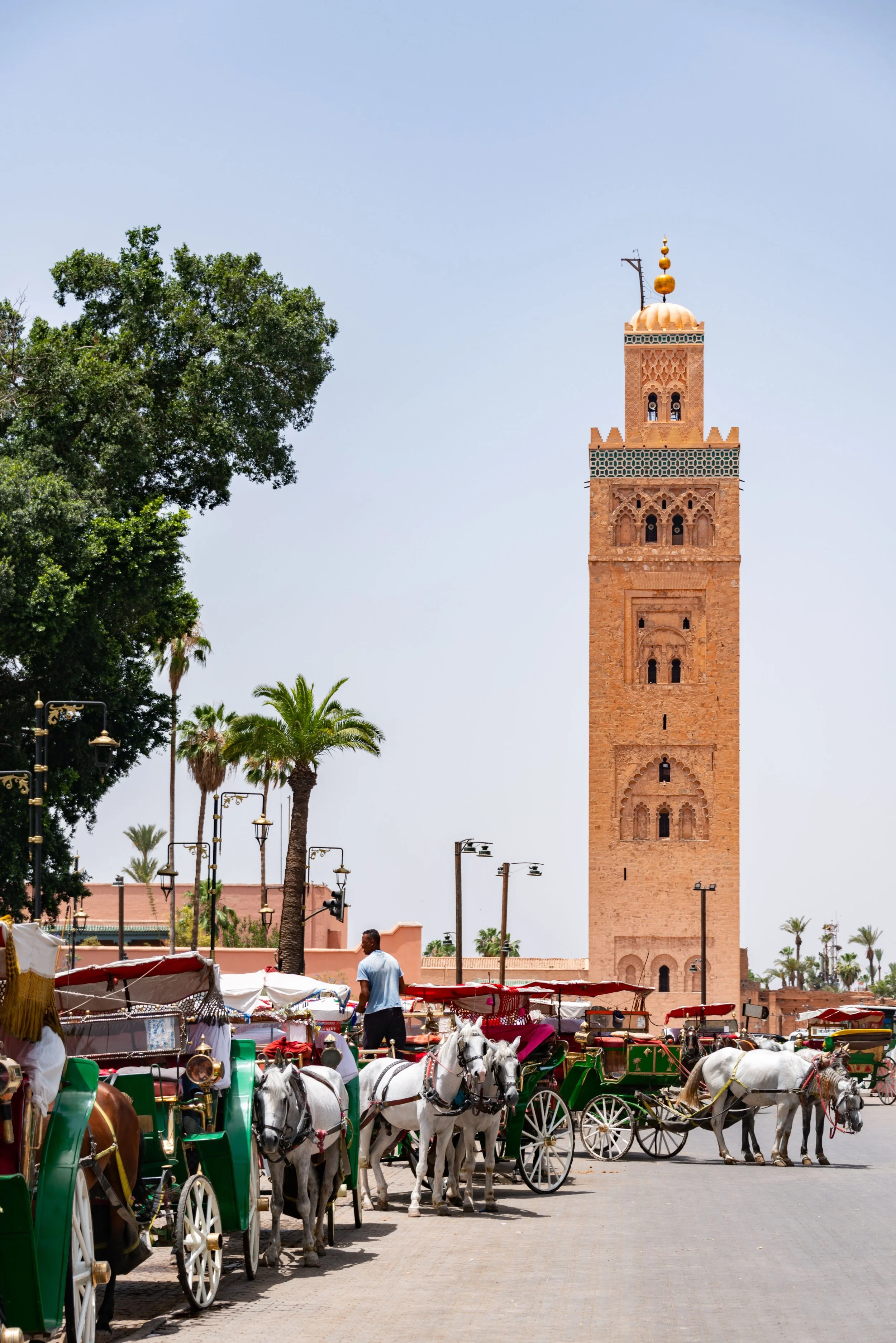 A street scene with horse-drawn carriages in front of the Koutoubia Mosque minaret in Marrakech, Morocco, with palm trees and blue sky in the background.
