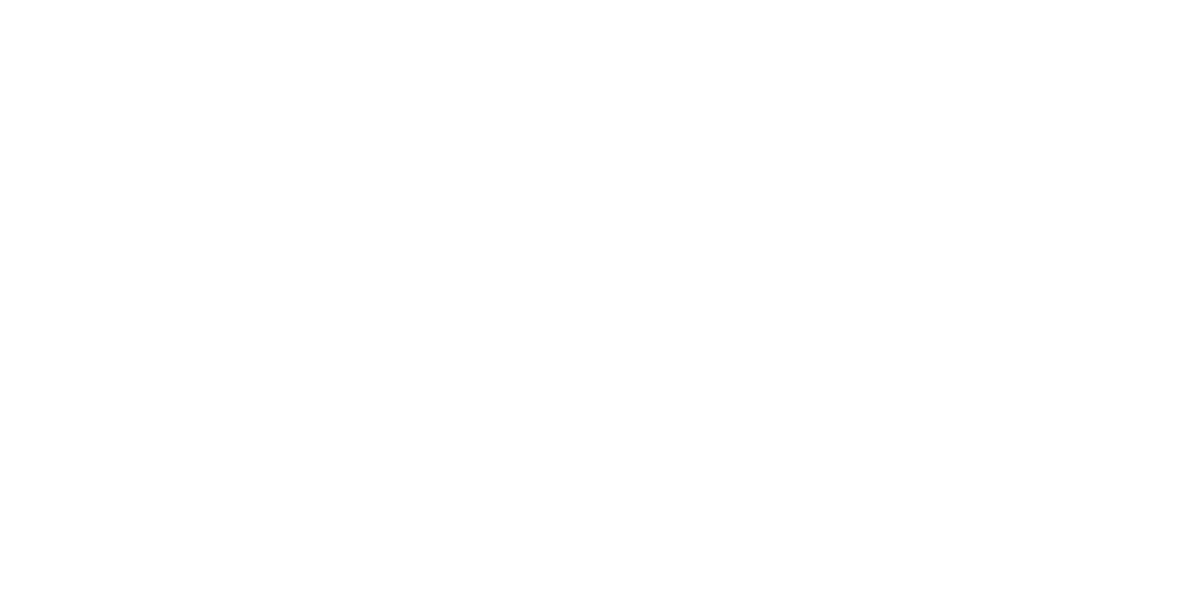 Riad Chameleon