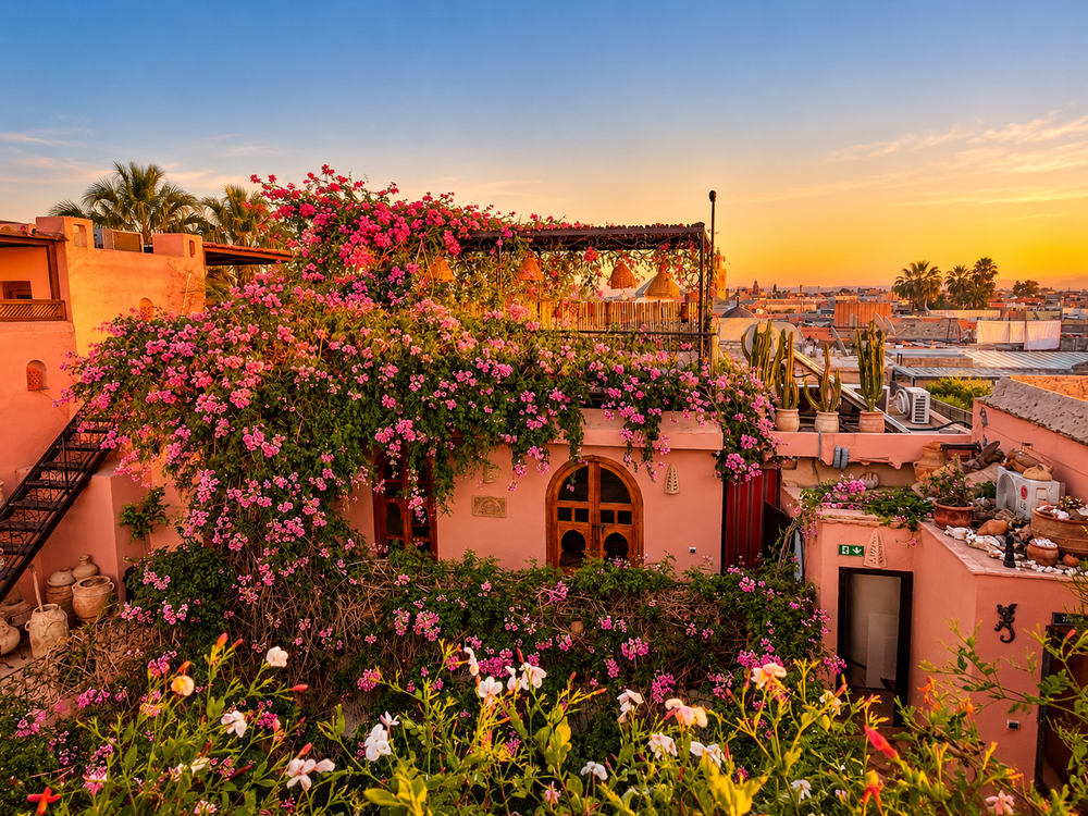 Riad Chameleon courtyard at sunset
