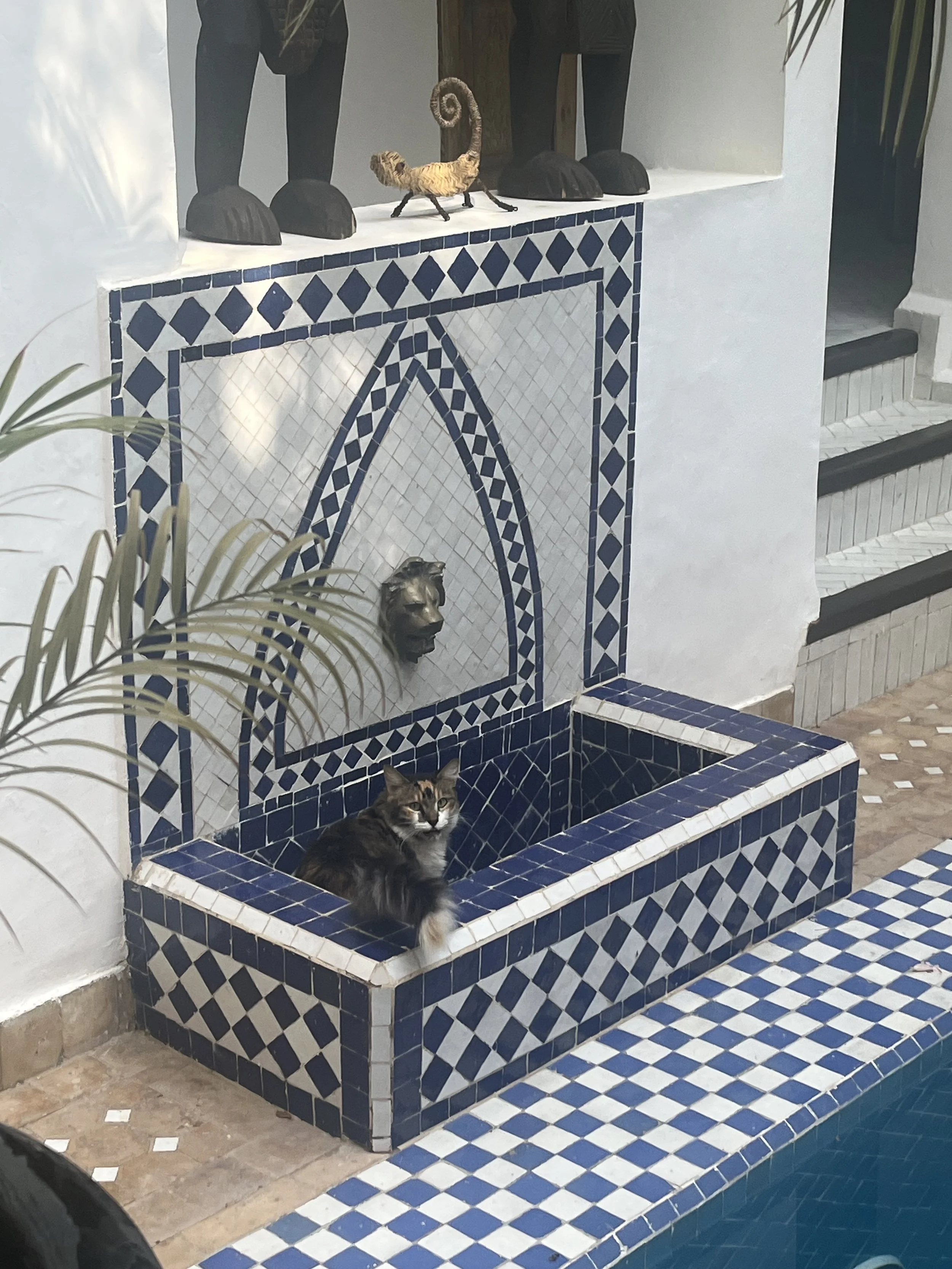 A small outdoor patio with a round blue and white mosaic table and two chairs, one with a woven seat. There is a pot of red flowers on the table, a large green plant in the foreground, and a white wall with a blue arched window and black wrought iron details. A wall-mounted black light fixture is also visible.