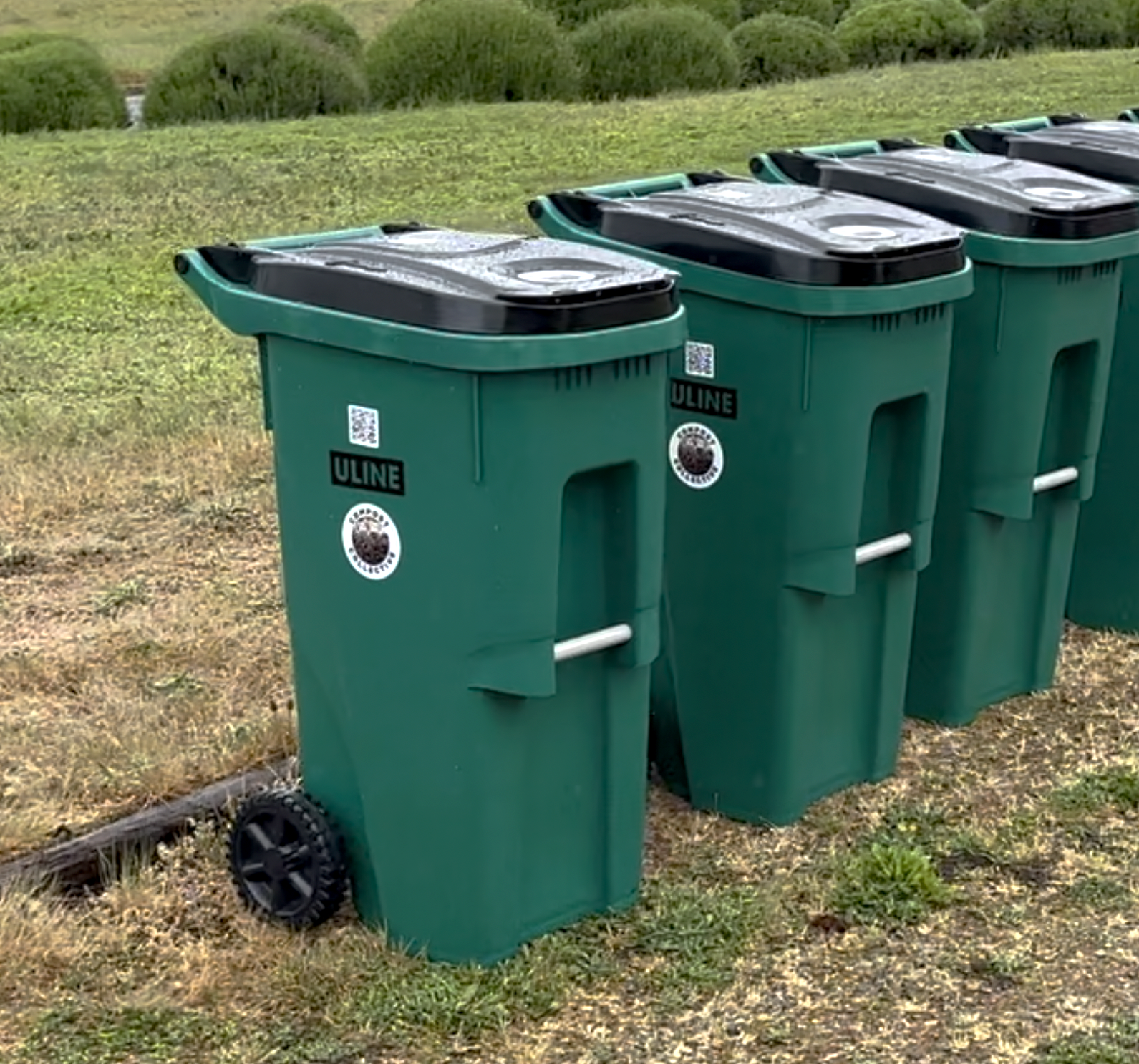 Four green trash or recycling bins on grass with bushy shrubbery in the background.