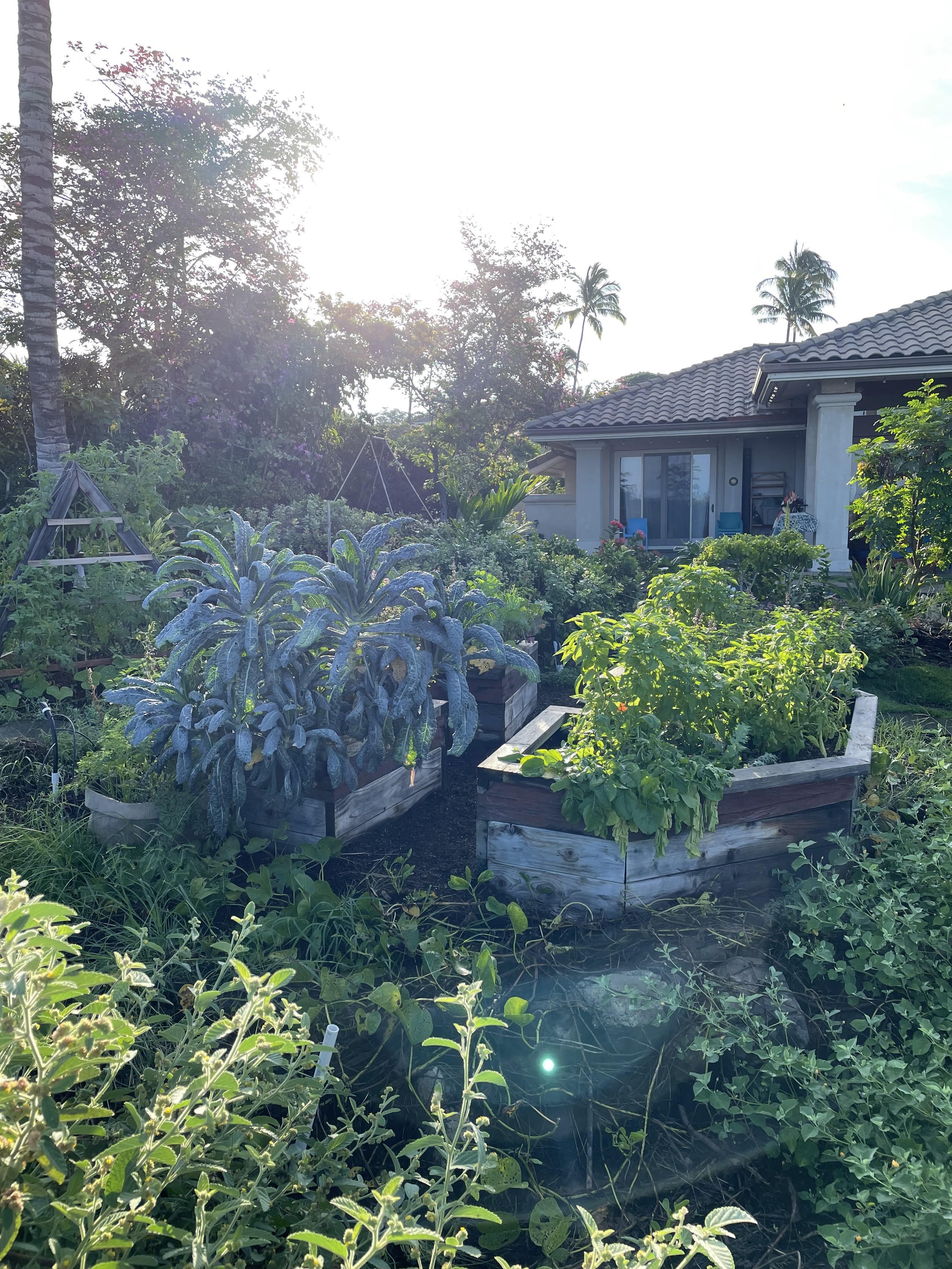 Garden Installation