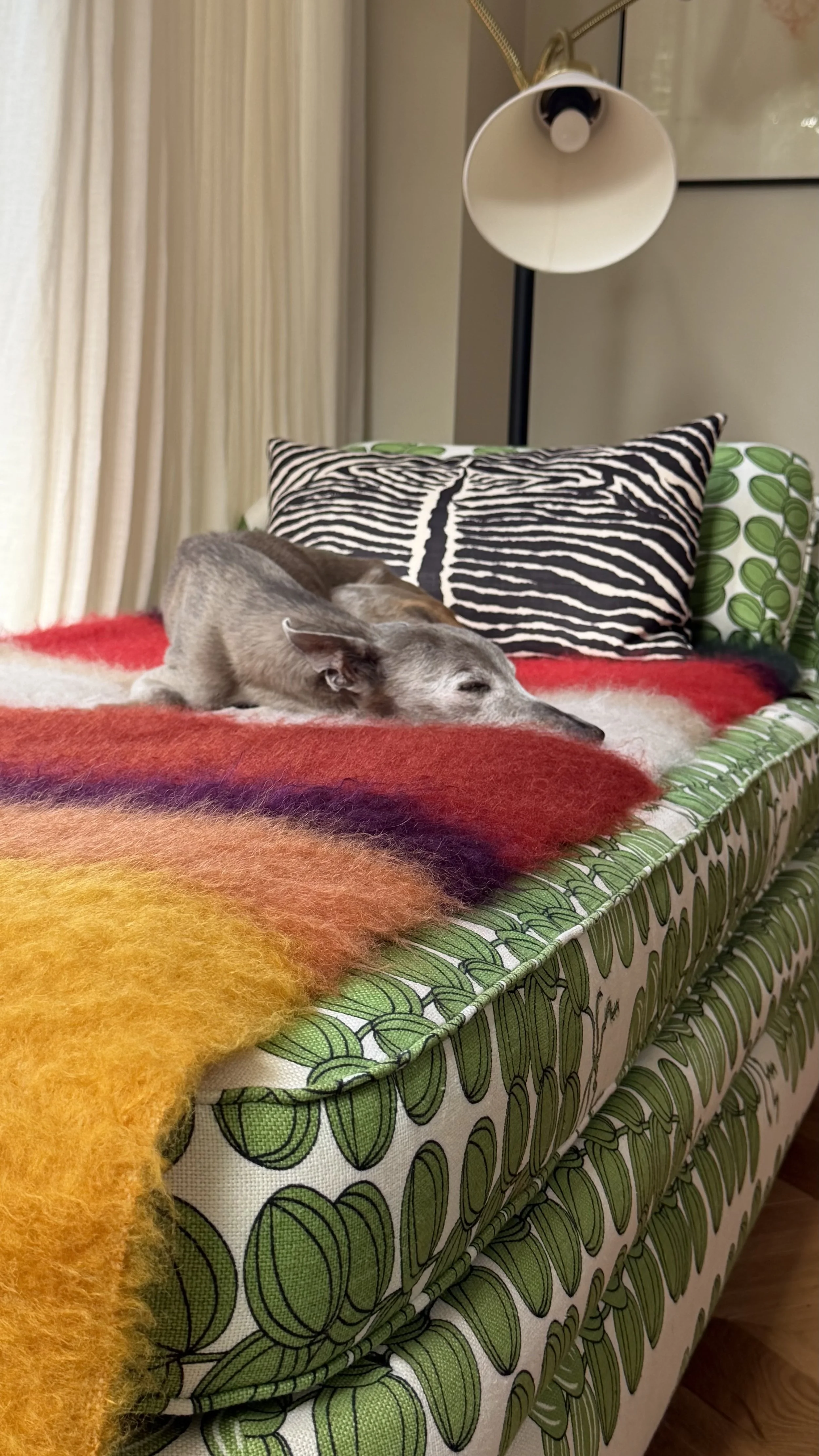 A small dog, possibly a terrier mix, is sleeping on a colorful, red, orange, and yellow blanket on a patterned green and white couch. There is a black and white striped pillow behind the dog, and a large, white floor lamp next to the couch. In the ba