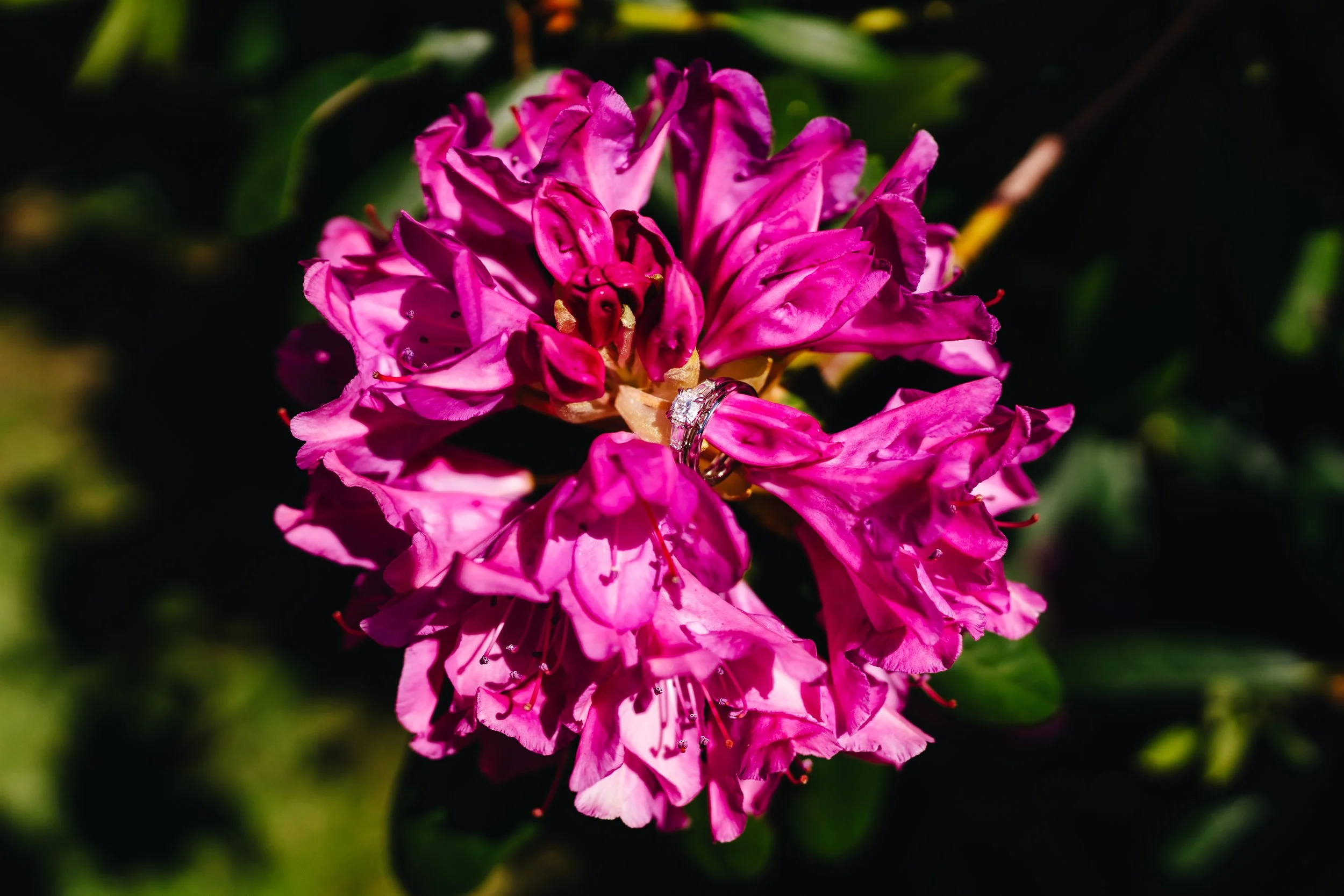 NE Photography-117.jpg