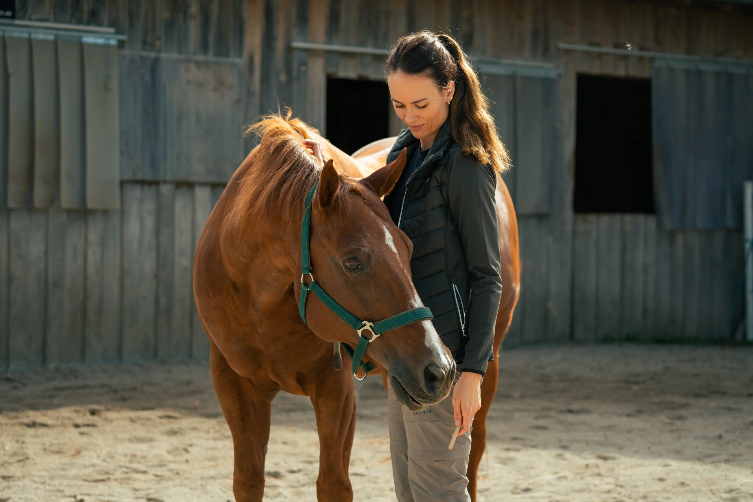 Frau mit braunem Pony und dunklen Haaren, die ein Pferd am Nacken und an der Nüstern berührt, im Außenbereich vor einer Holzscheune.