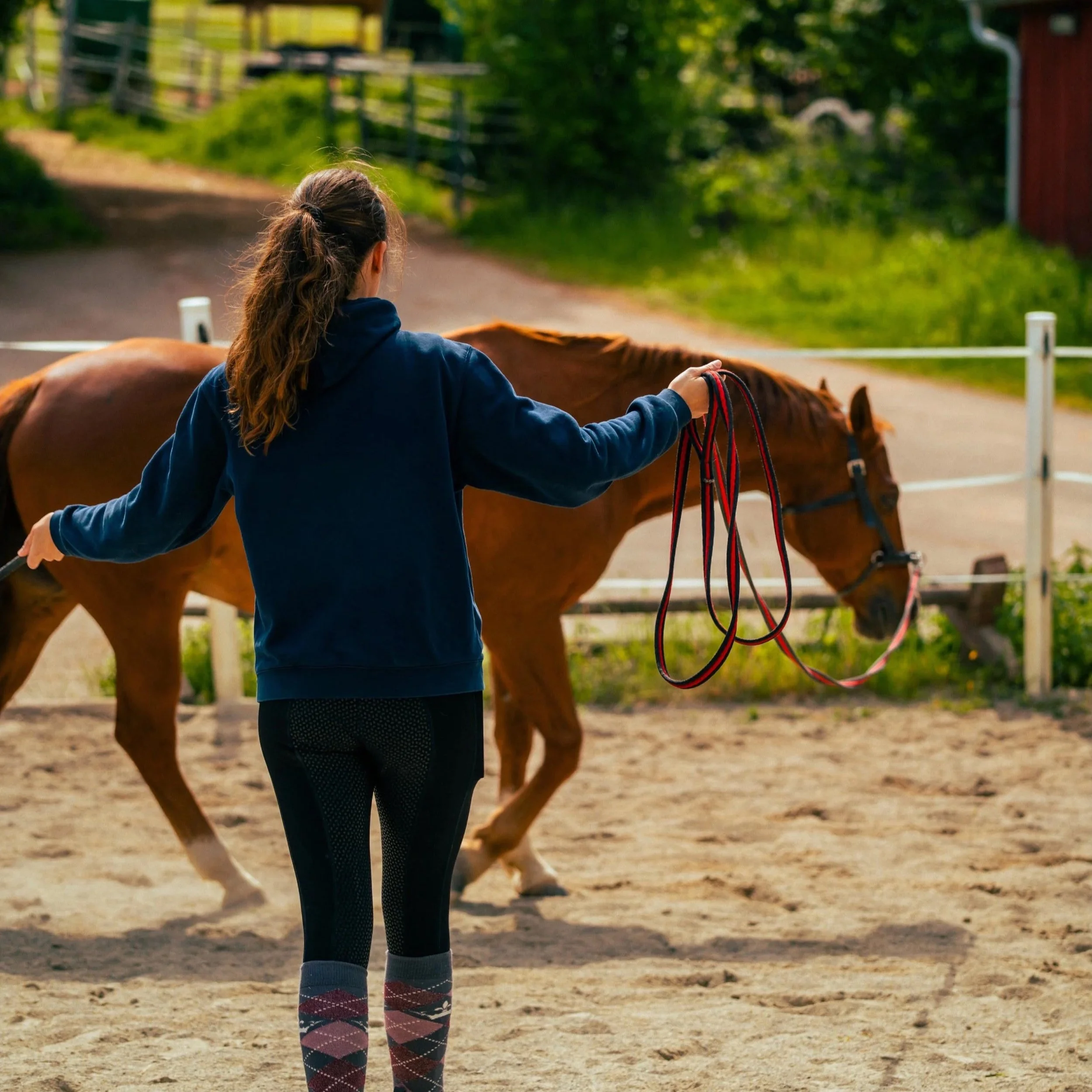 Ein Mädchen mit langen Haaren in einem blauen Pullover hält die Longe eines rot-braunen Pferdes, auf einem Reitplatz mit Bäumen im Hintergrund.
