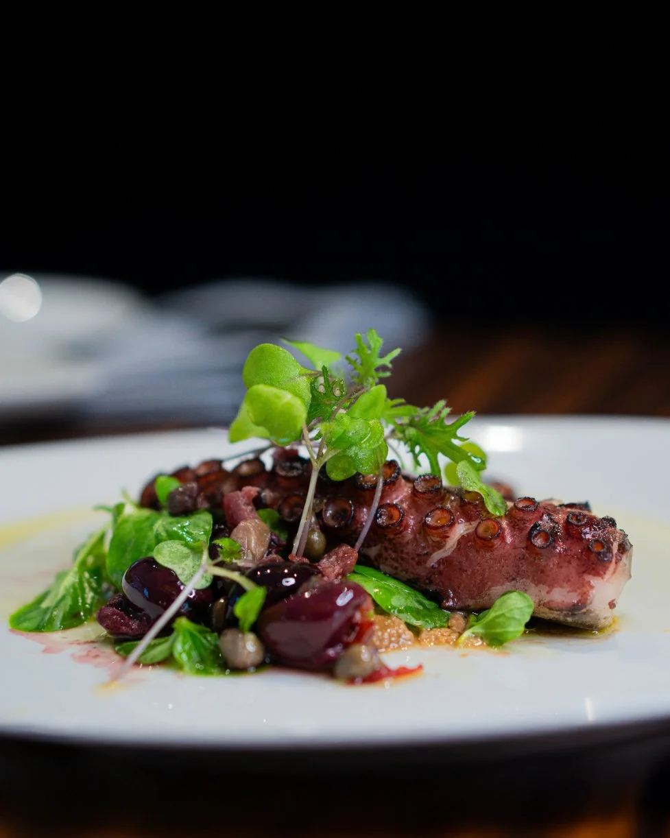 A plated dish featuring a cooked octopus tentacle and drizzled with a dark sauce.