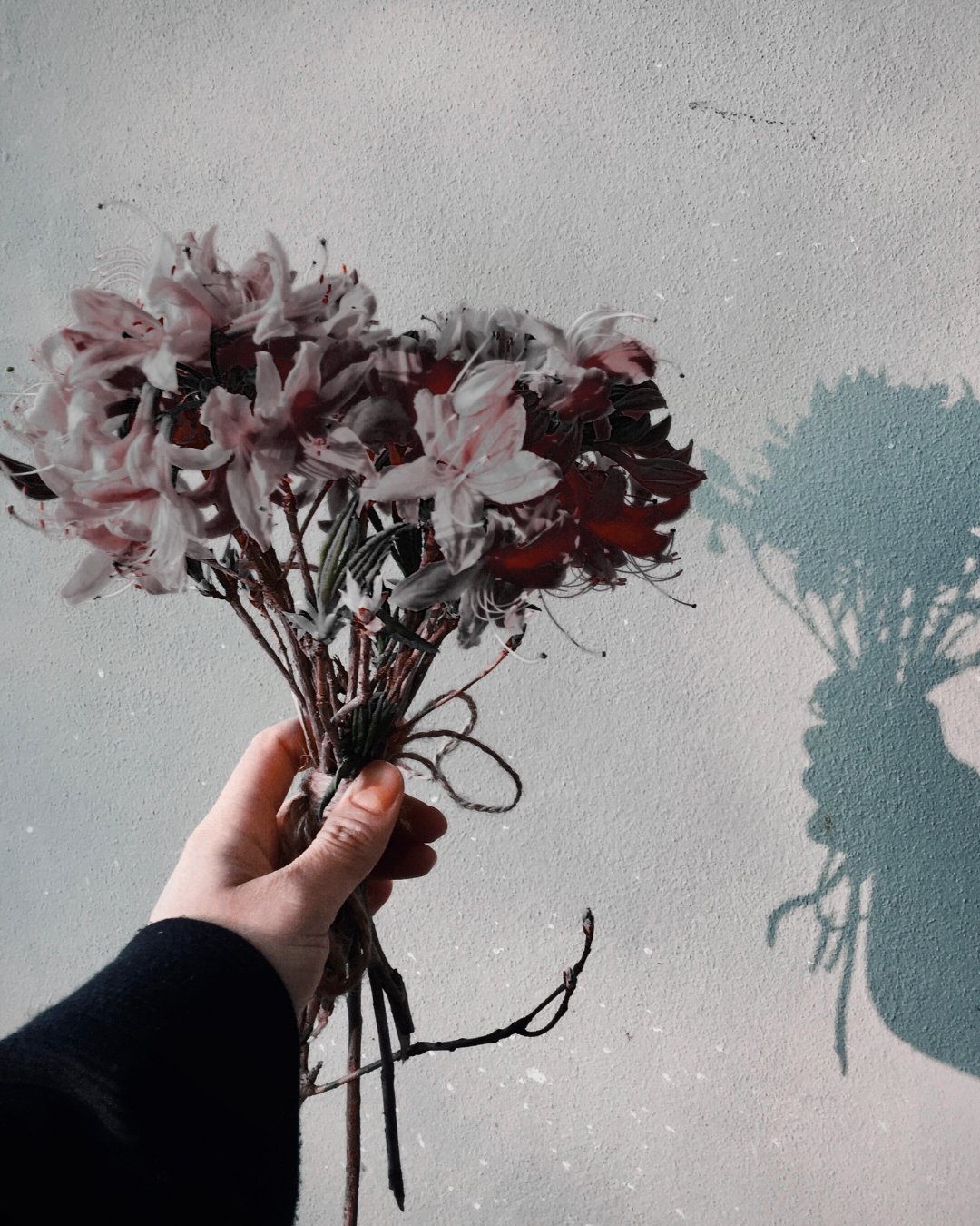A hand holding a bouquet of flowers against a textured light gray wall, with a shadow of the bouquet cast on the wall.