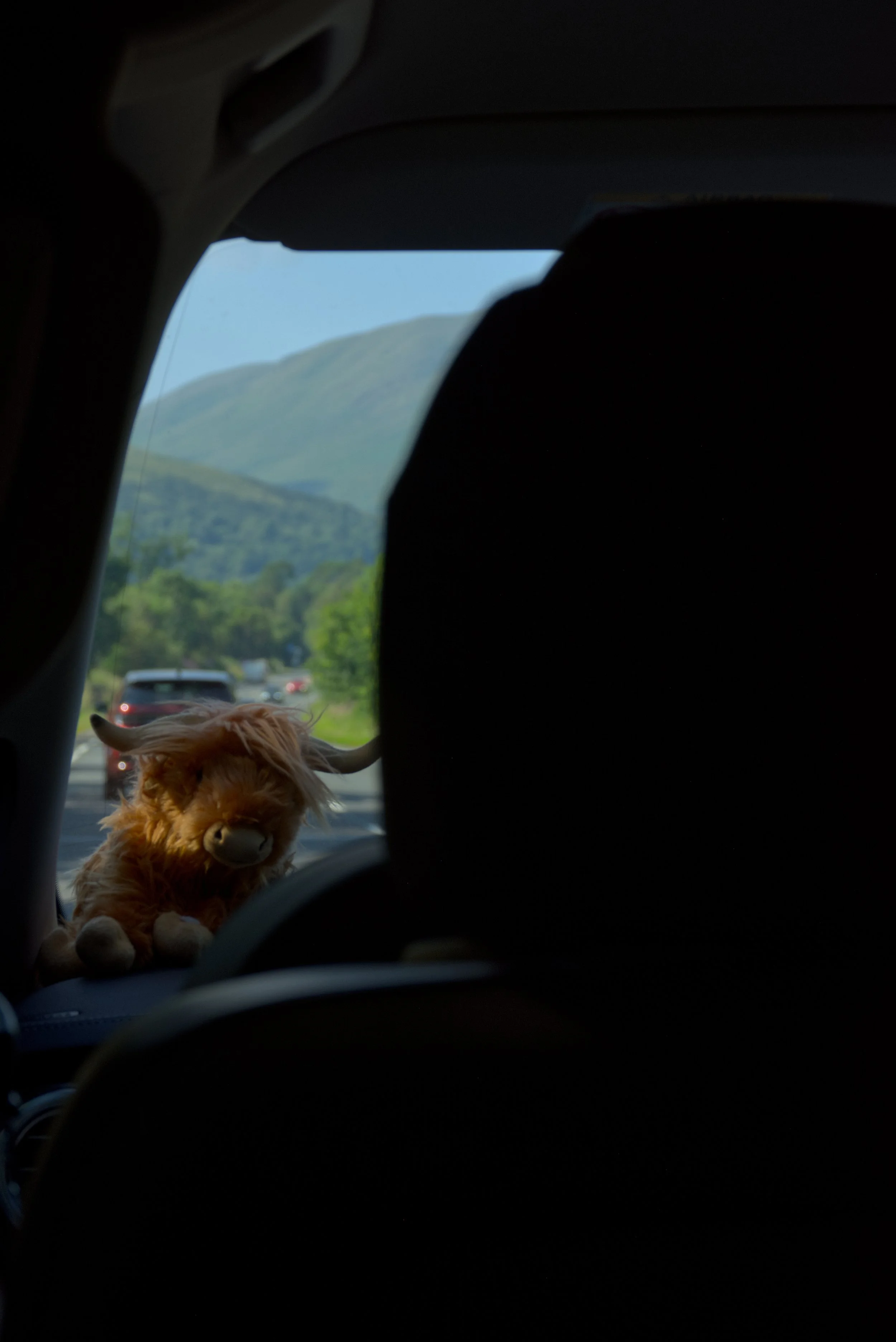 Inside a car, view through the backseat window showing a mountain landscape with trees, vehicles on the road, and a small plush toy of a highland cow on the seat in the foreground.