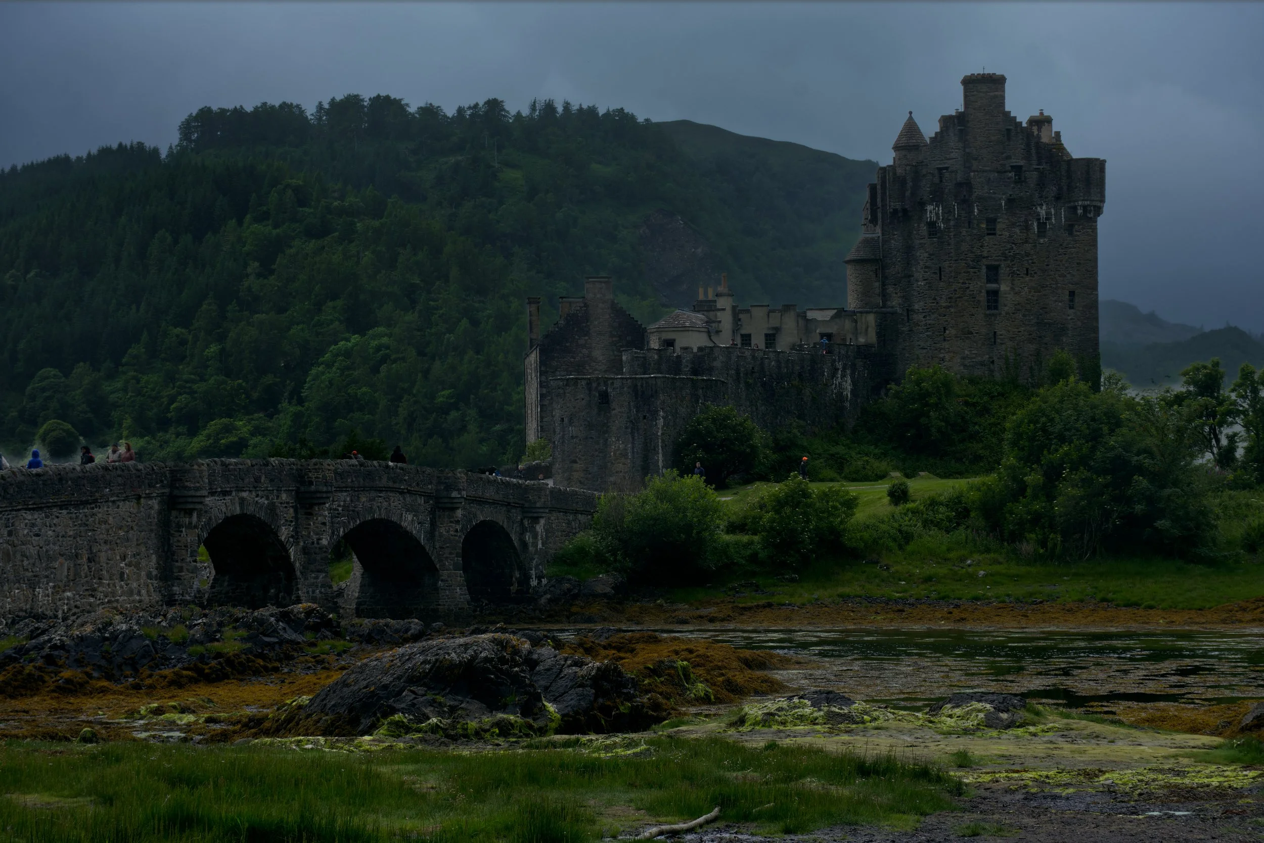 Eiliean Donan, medieval castle with a surrounding stone bridge on a river, set against forested hills with a cloudy sky.