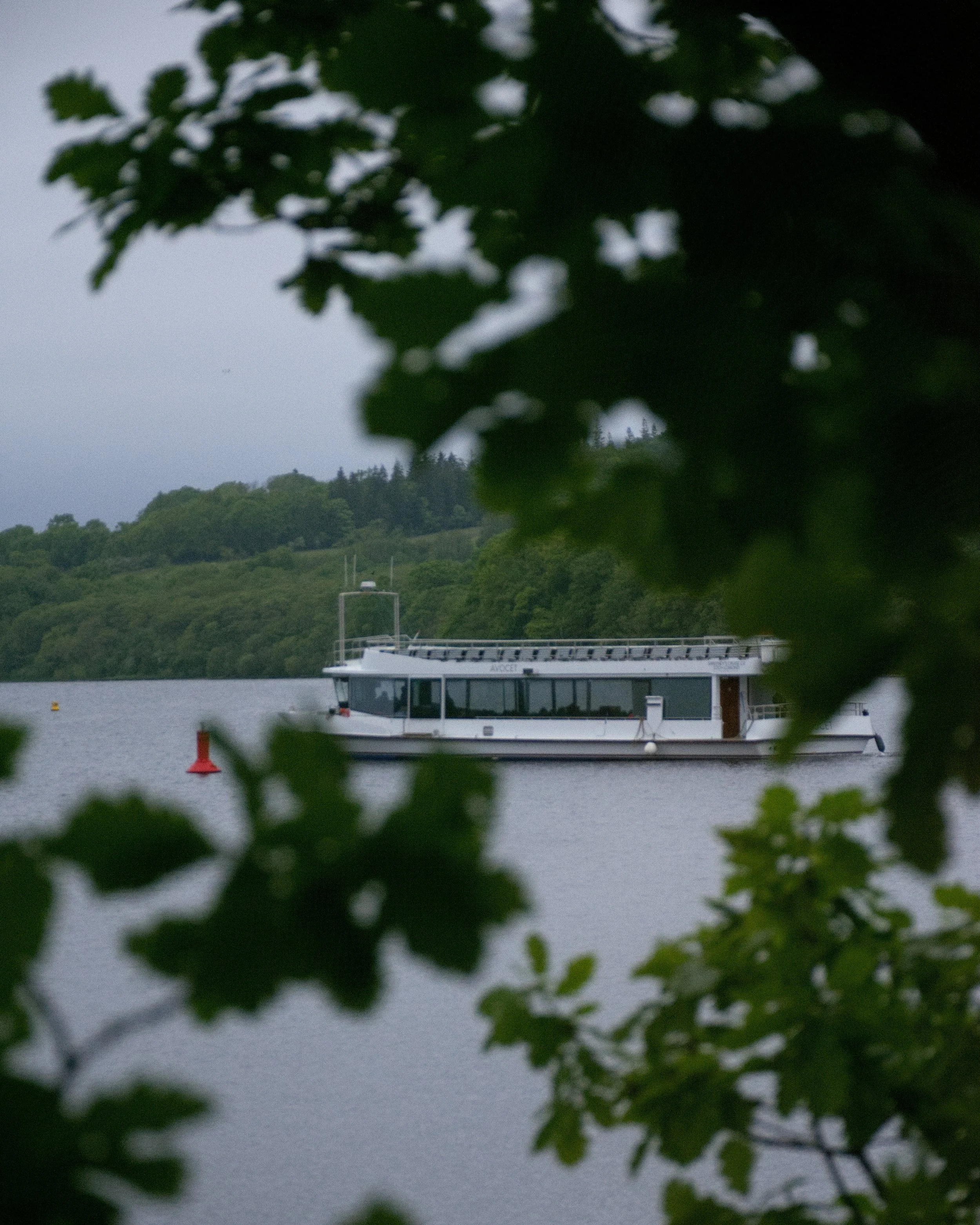 A small boat on Loch Lomond with lush green trees and hilly landscape in the background, framed by dark green leaves in the foreground.