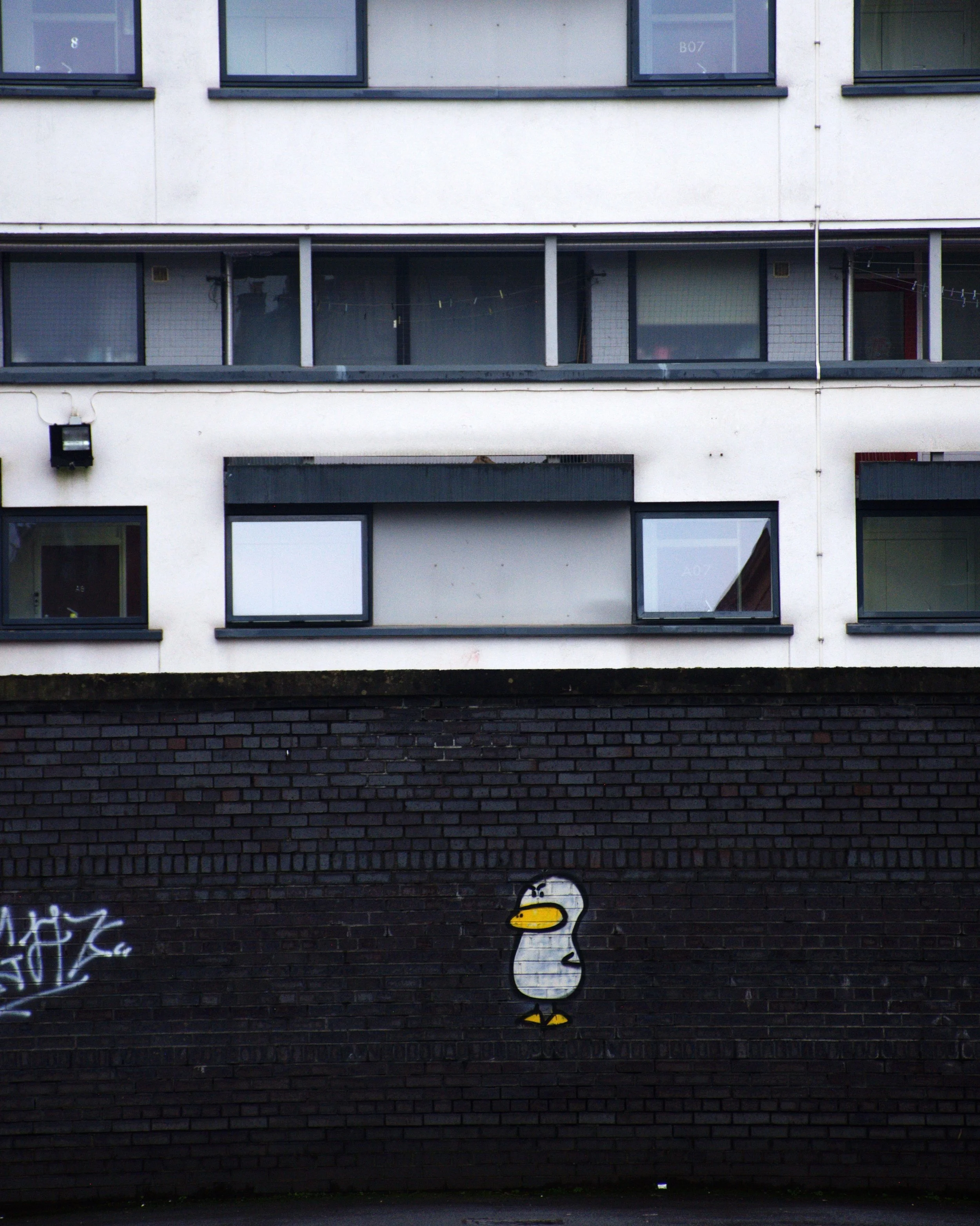 Glasgow west end, multi-story building with windows and a brick lower section. There is graffiti on the brick part, including a penguin.