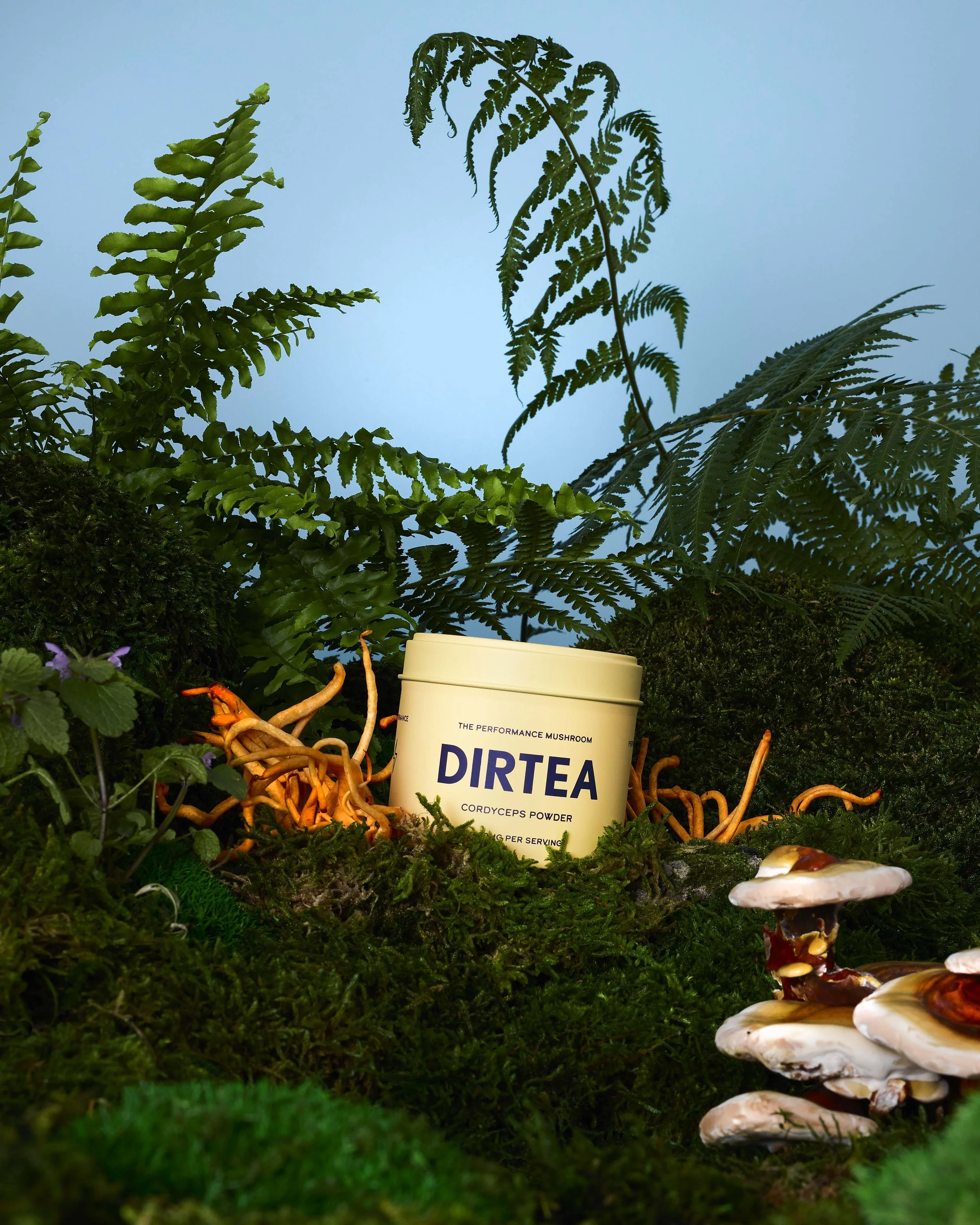 DIRTEA_12.02.23116403.jpg