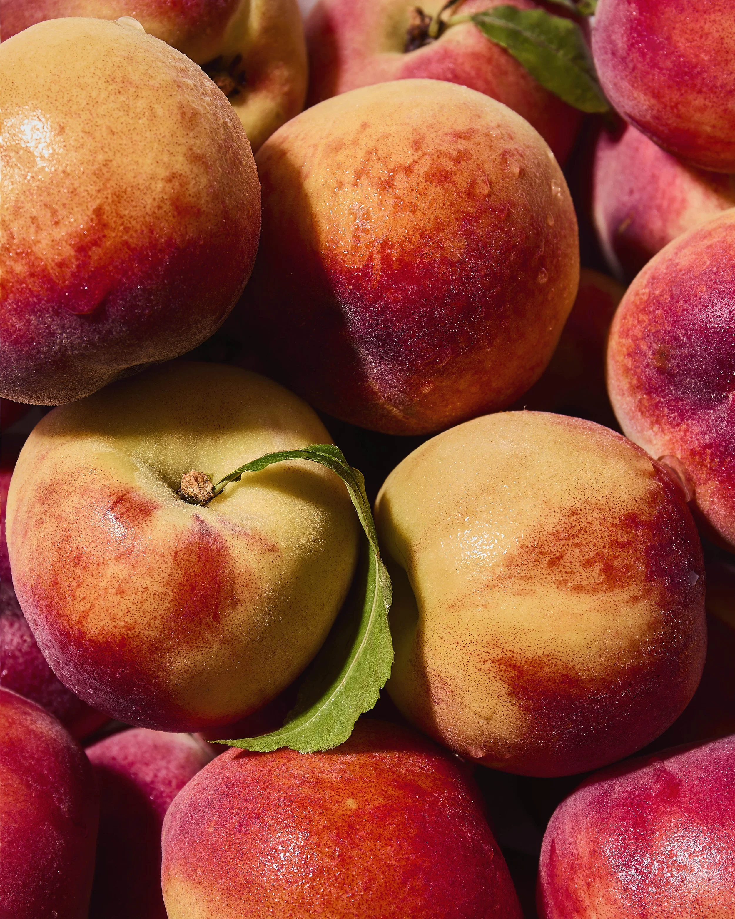 Peaches_RT copy.jpg