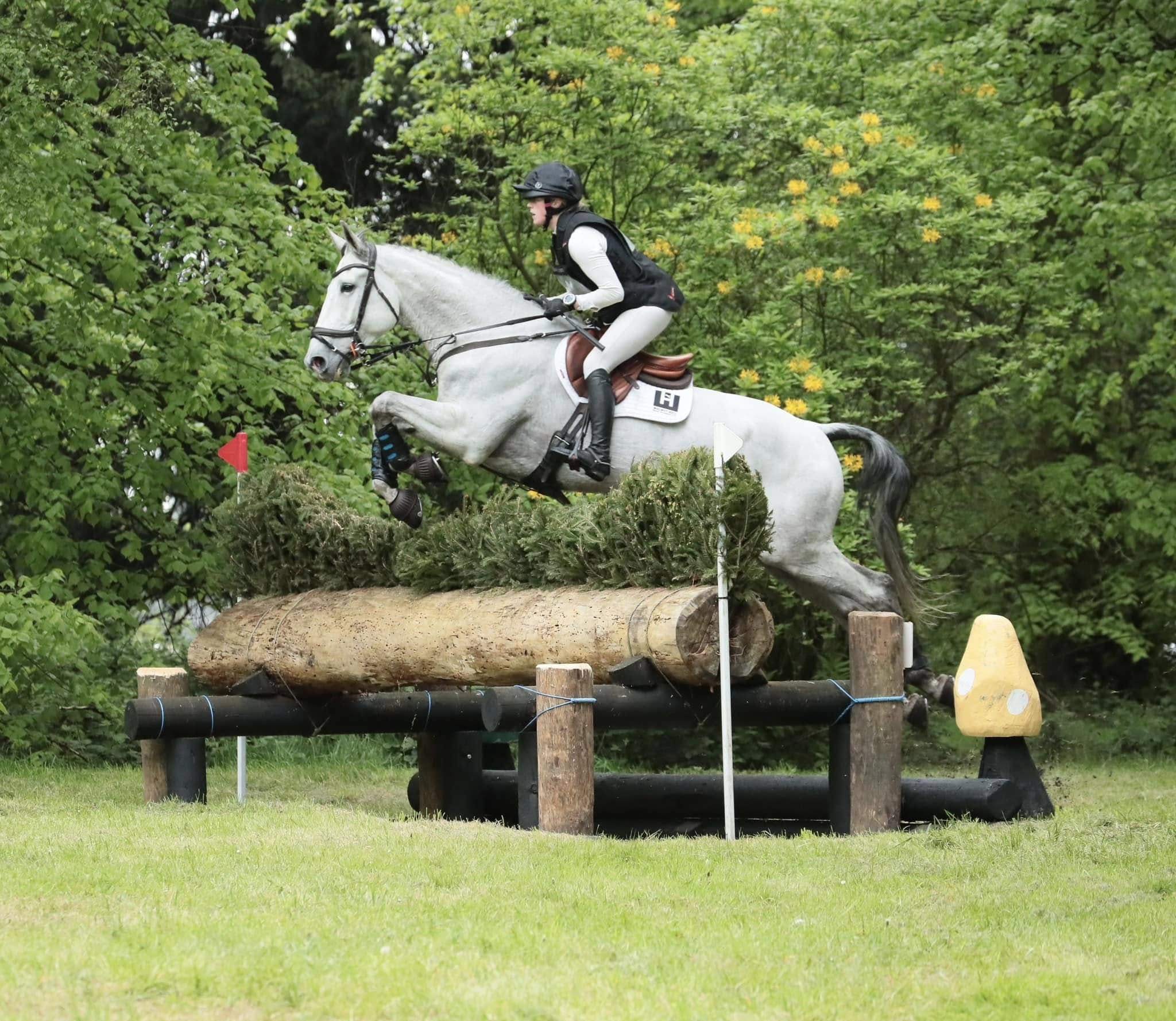 A person riding a grey horse over a wooden log obstacle during an equestrian event.