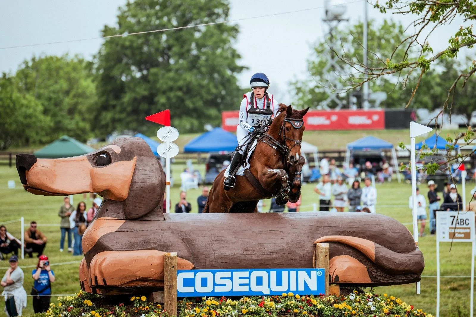 A rider and horse jumping over an obstacle resembling a wooden dachshund dog during an equestrian event. The event is outdoors with spectators and tents in the background.