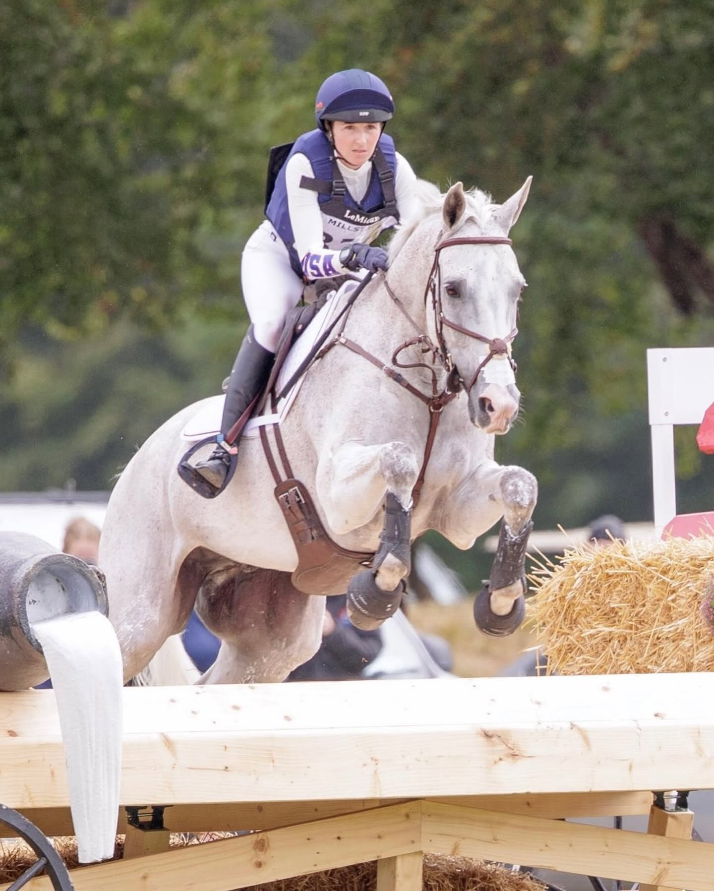 A person wearing a helmet and riding gear riding a grey horse during an equestrian event, with hay and a barrier in the foreground, and blurred trees in the background.