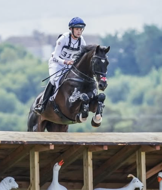 Equestrian rider in blue helmet and white outfit jumping over a wooden obstacle with a black horse during a competition