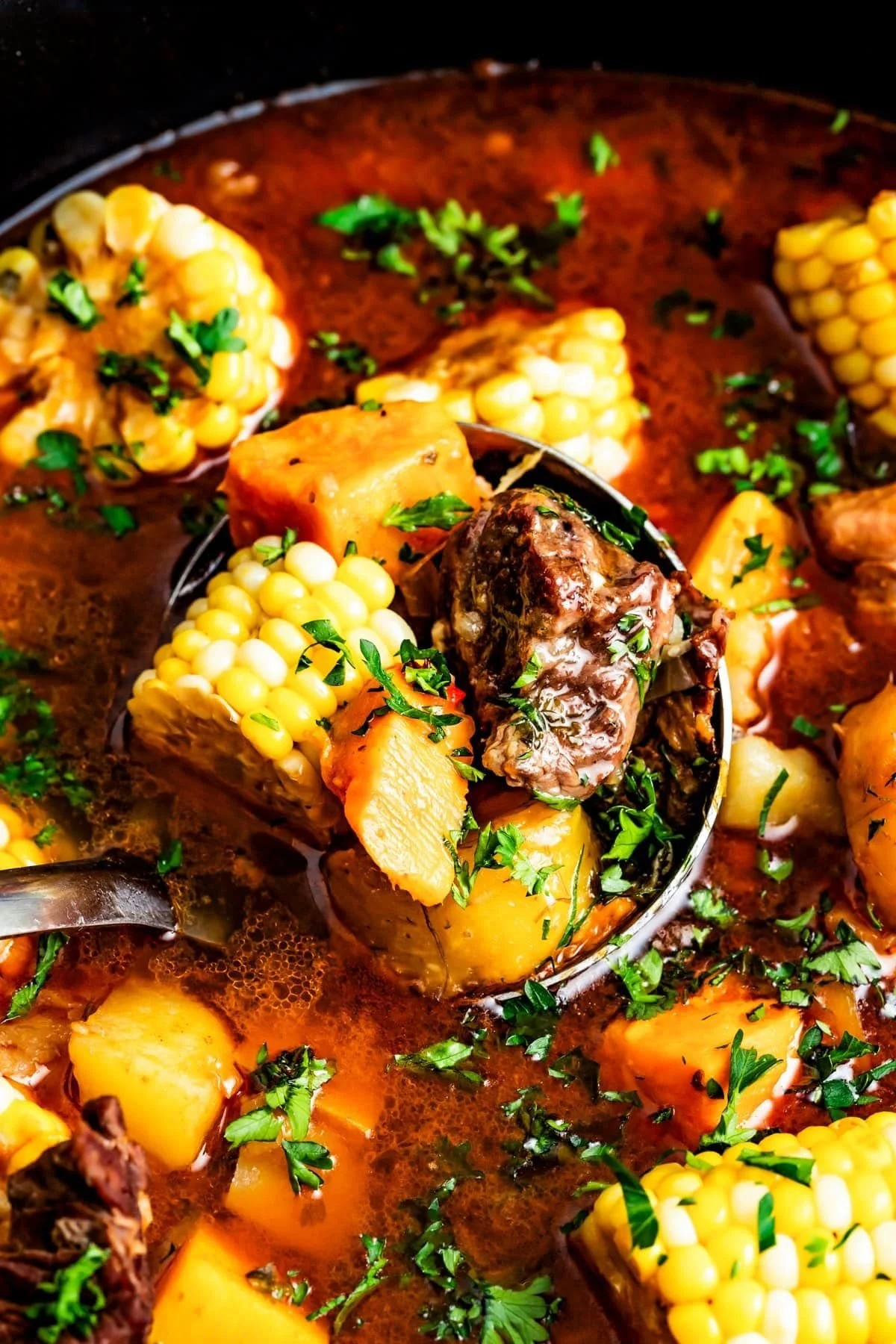 Signature Dominican Sancocho