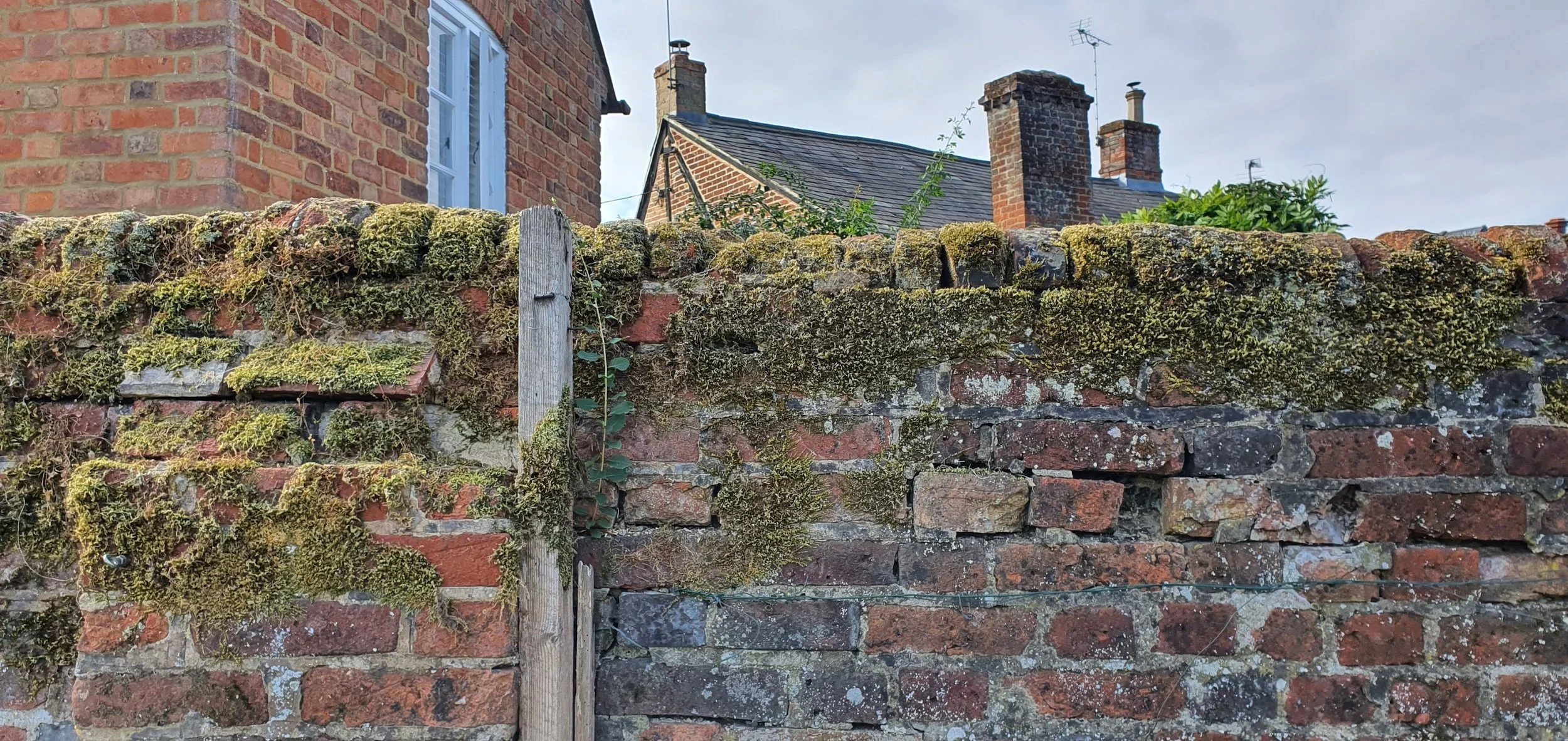 Boundary Wall Repair in Winslow — photo 1