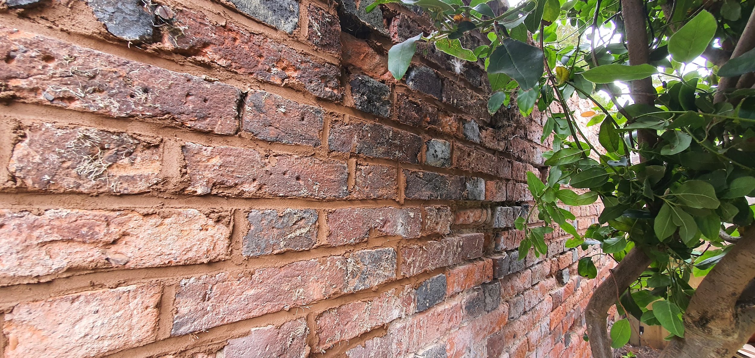 Boundary Wall Repair in Winslow — photo 3