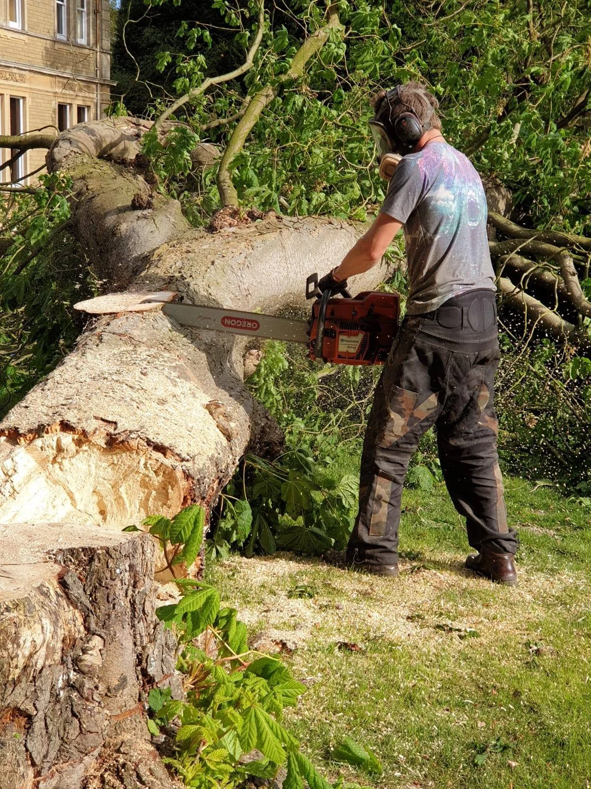 Tree felling and tree maintenance by D Catt Builders in Buckinghamshire