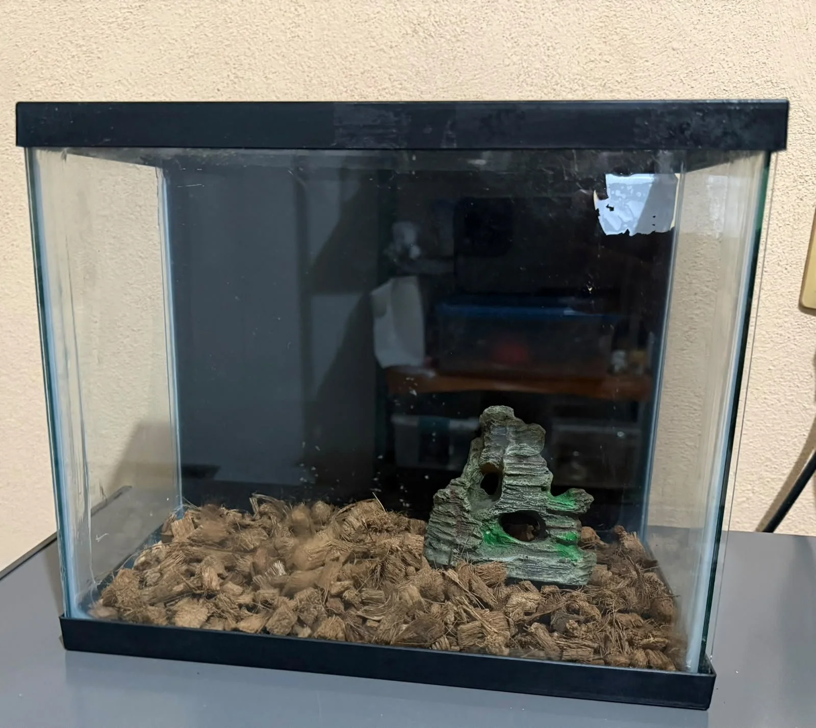 Terrario de vidrio chico
