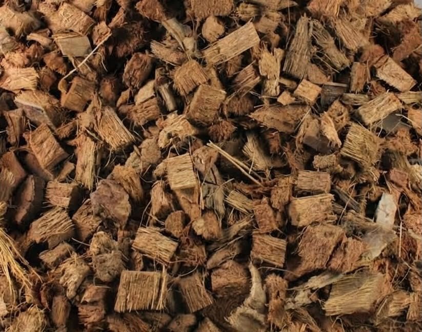 Sustrato de coco chips
