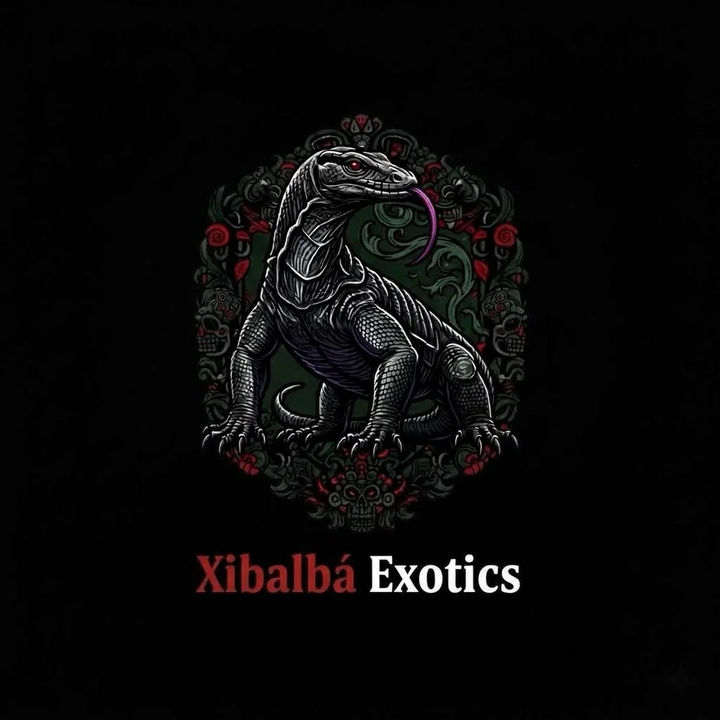 Xibalbá exotics, tienda de mascotas, tienda de reptiles, serpientes, pitones bola, geckos leopardo, alimento, envios a toda la republica