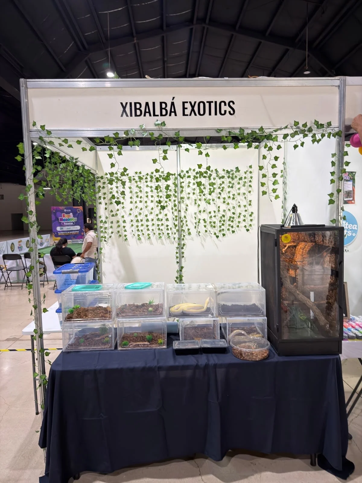 Pabellón llamado 'Xibalba Exotics' exhibiendo reptiles y accesorios en una convención, decorado con plantas artificiales y cristaleras con reptiles. En el fondo, personas conversando y un cartel colorido.