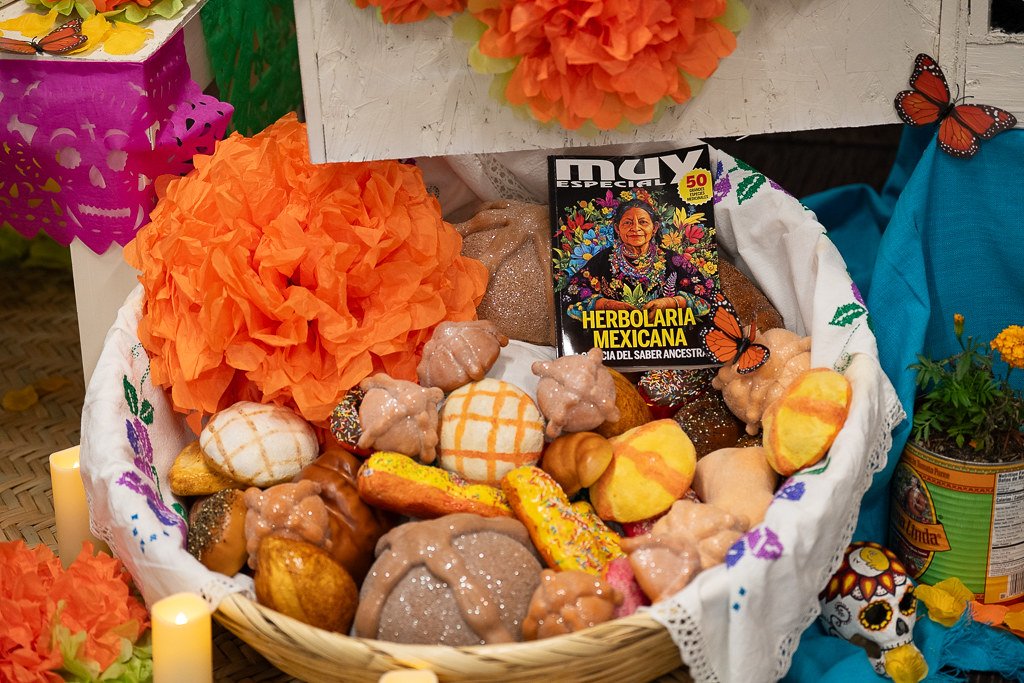 55340532317_0d11e3c8f8_b.jpg