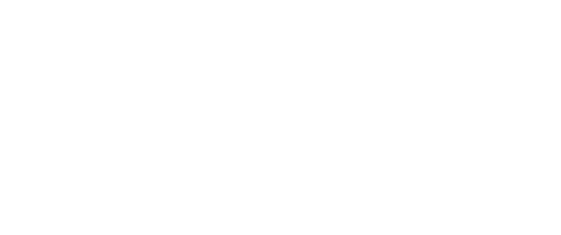 Immigrant Defense Network (Copy)
