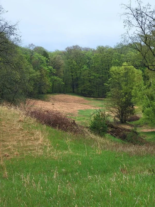 falc spring valley.jpg