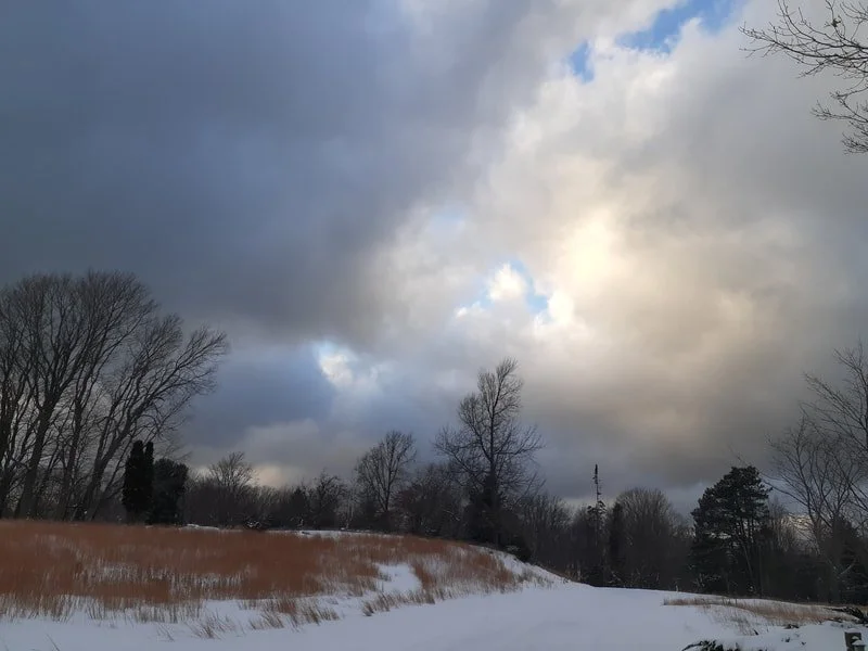 falc-winter-amy-2.jpg