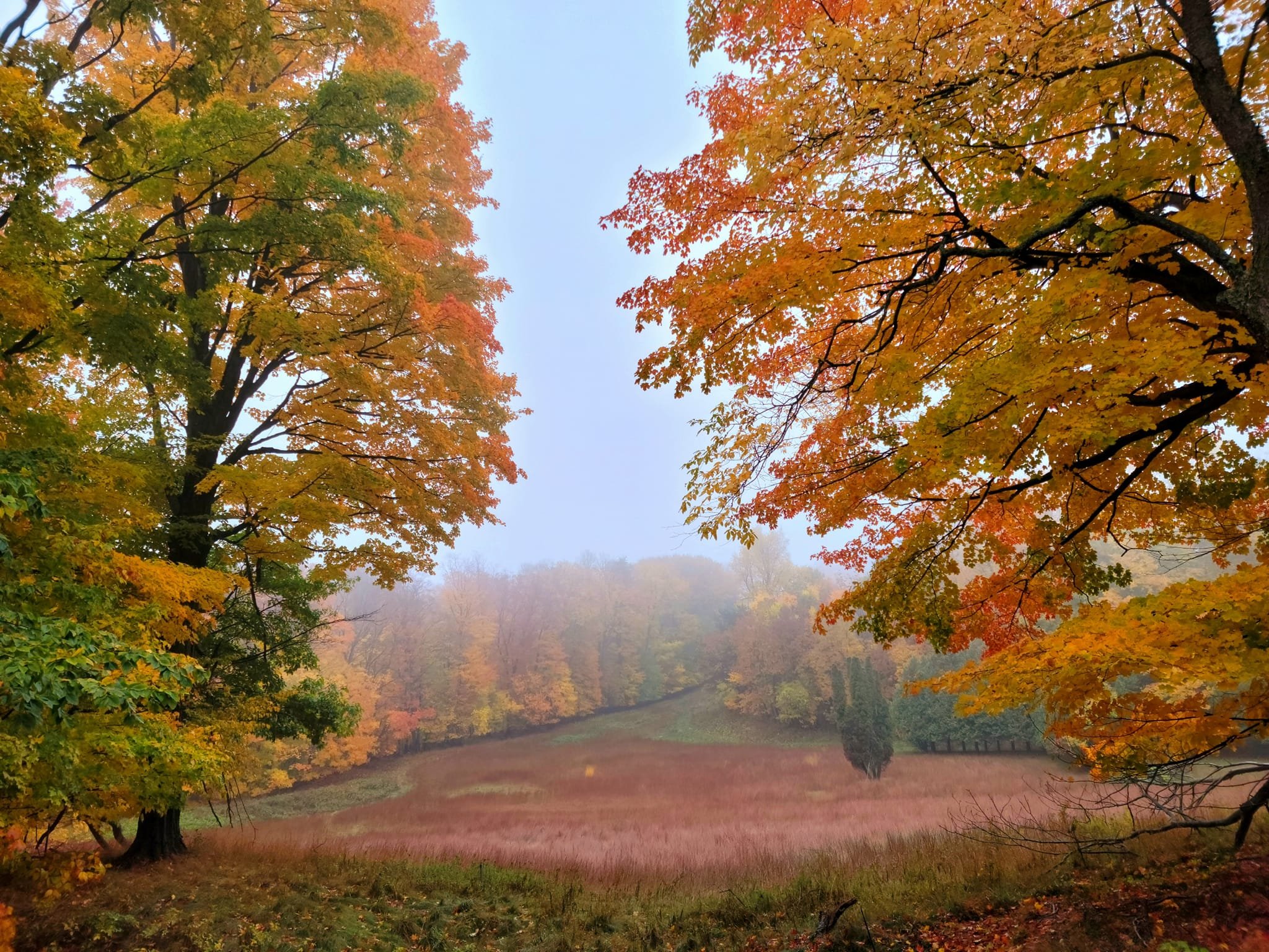 FALC Prairie in autumn 1.jpg