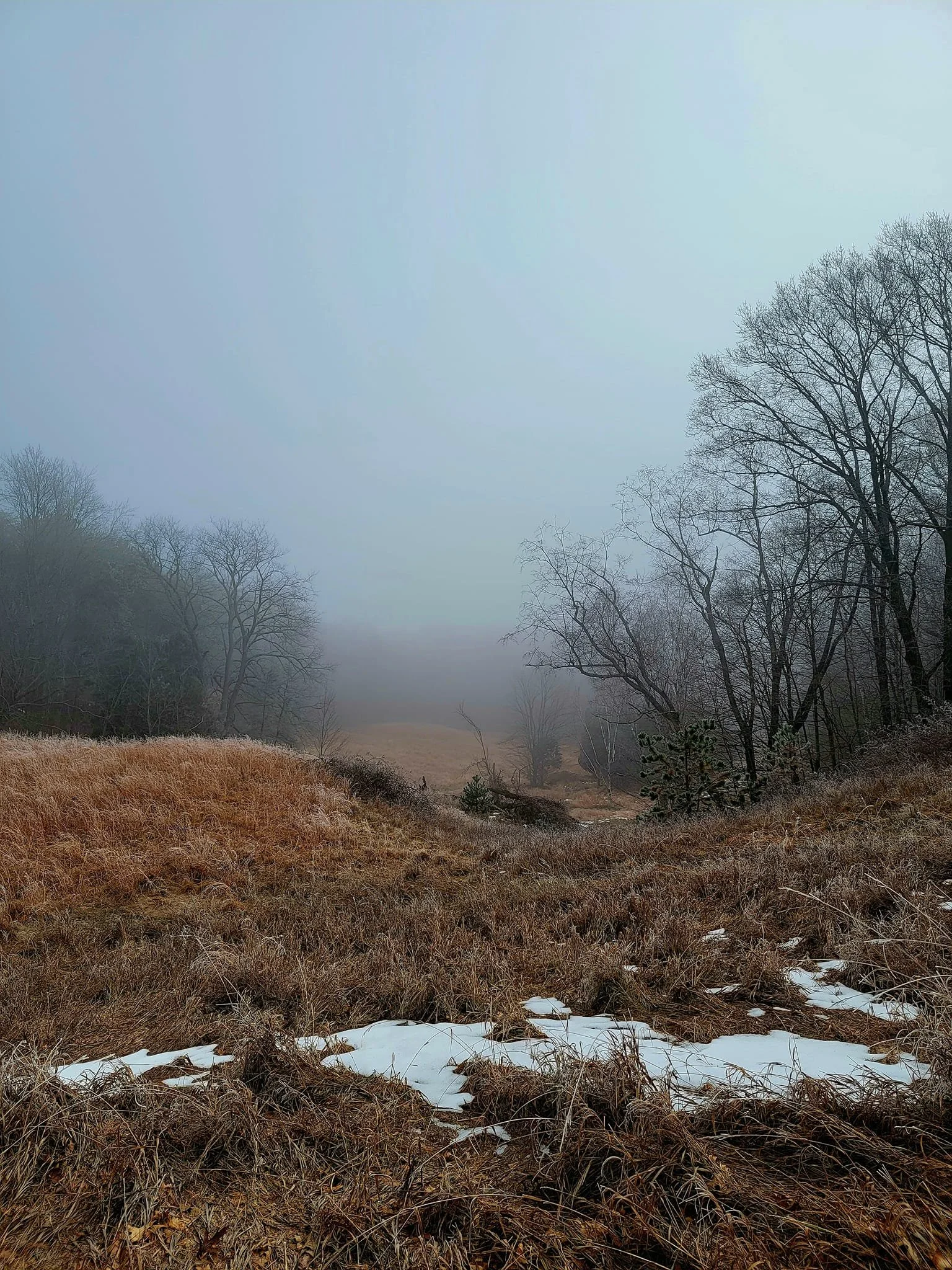 FALC mild winter 2023-24 - 18.jpg