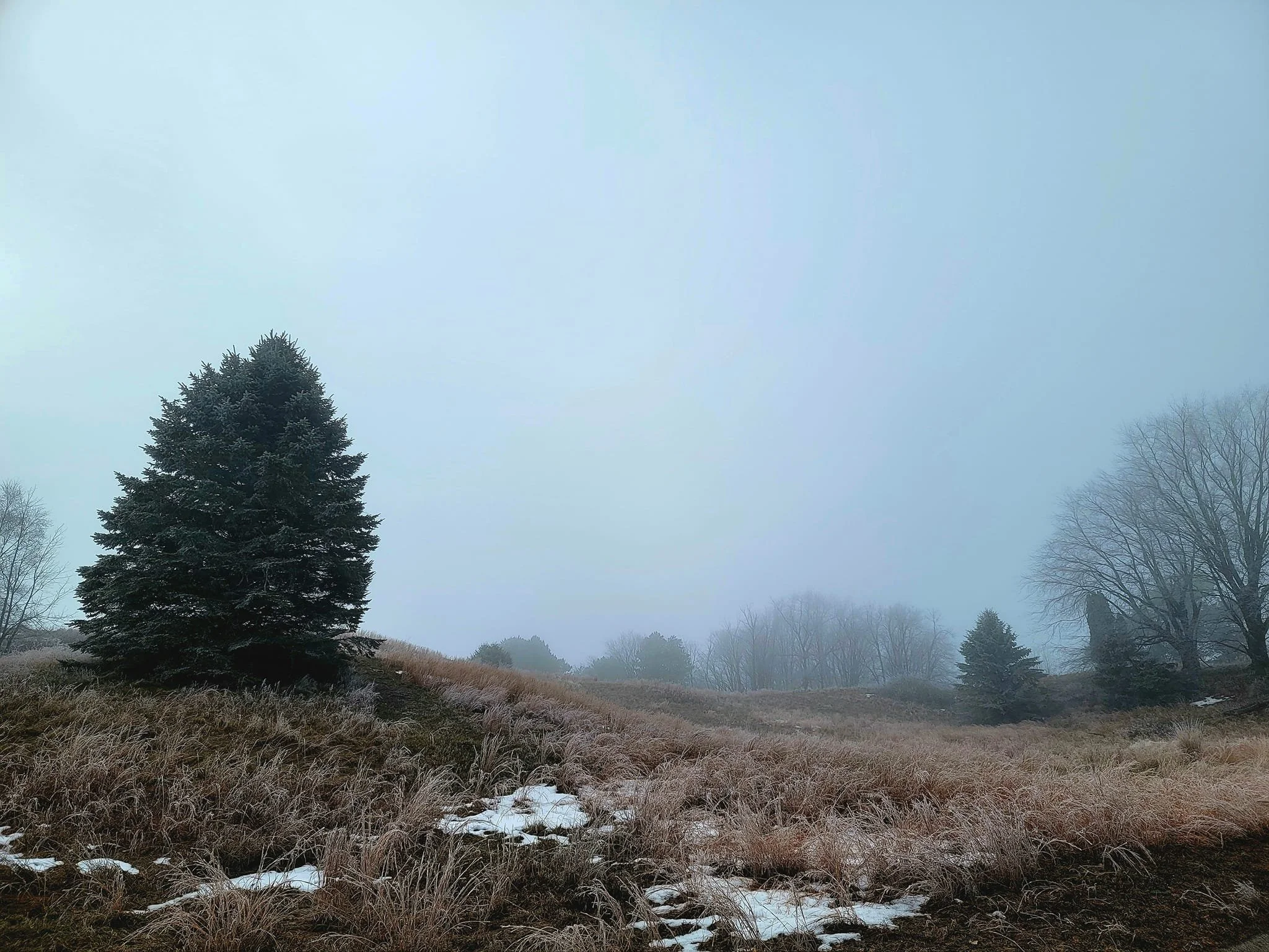 FALC mild winter 2023-24 - 21.jpg