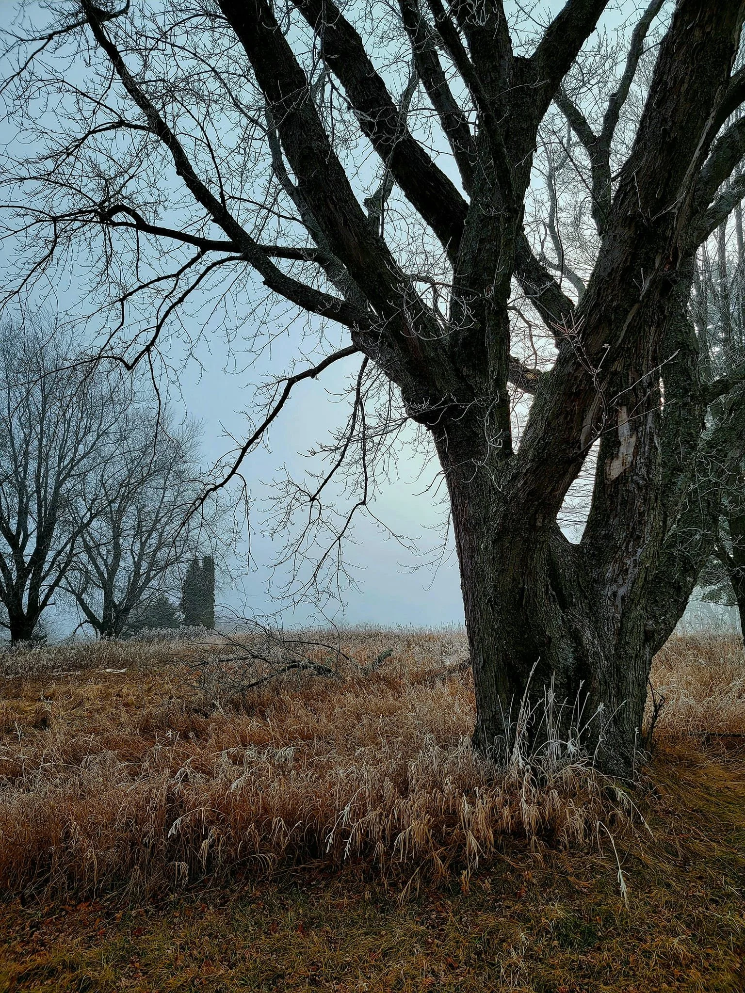 FALC mild winter 2023-24 - 14.jpg
