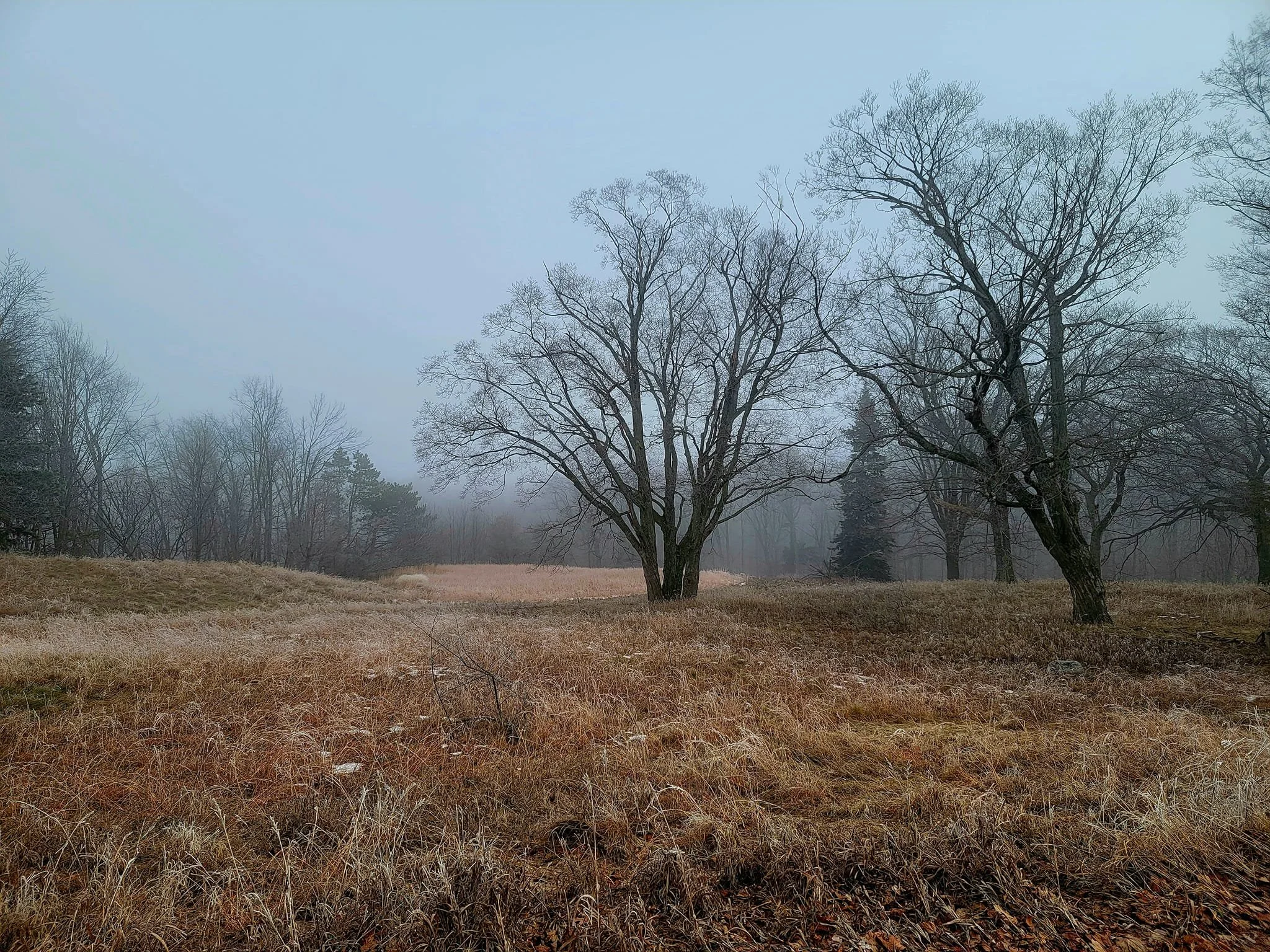FALC mild winter 2023-24 - 19.jpg