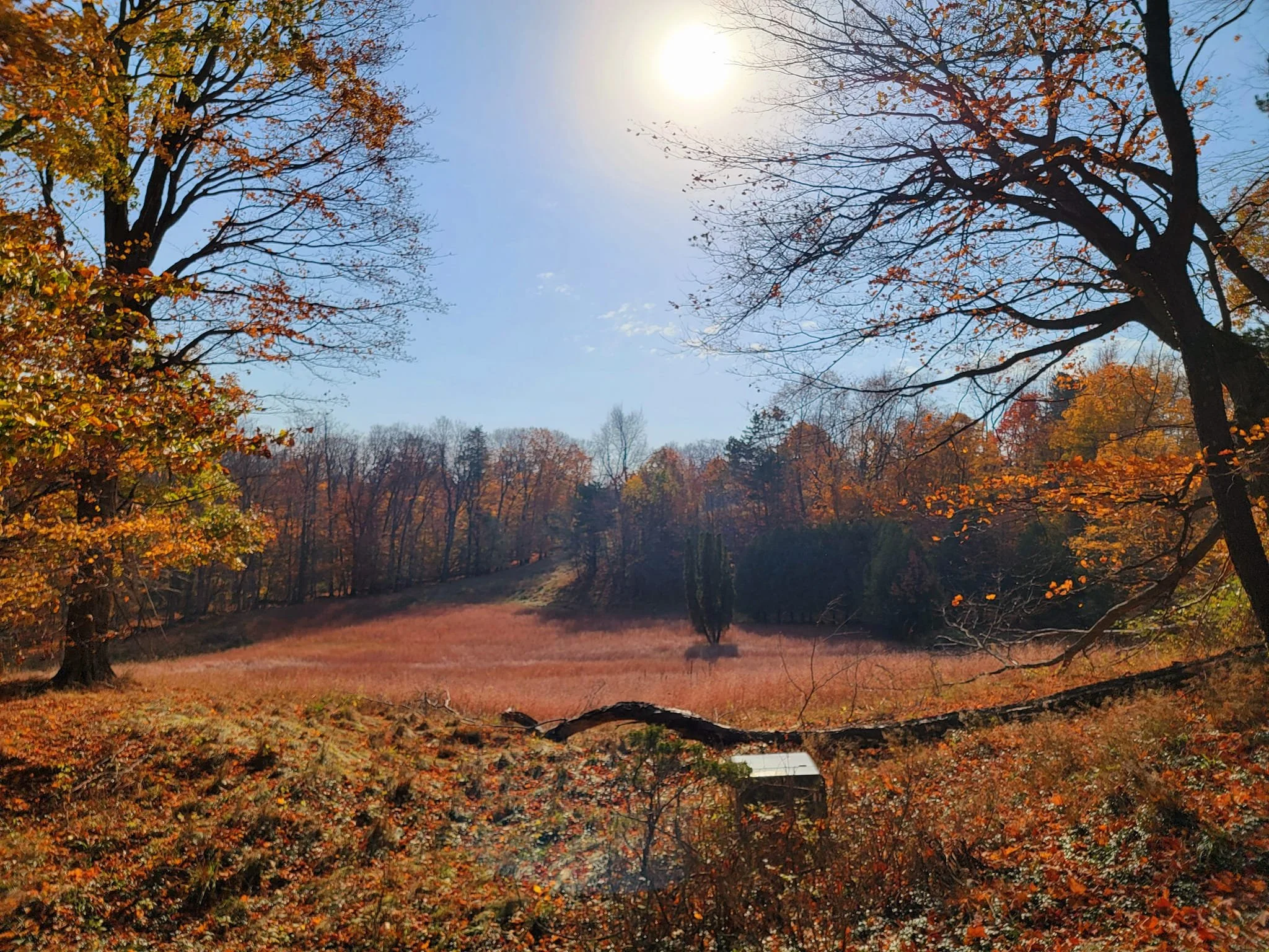 FALC fall backside 2024 2.jpg