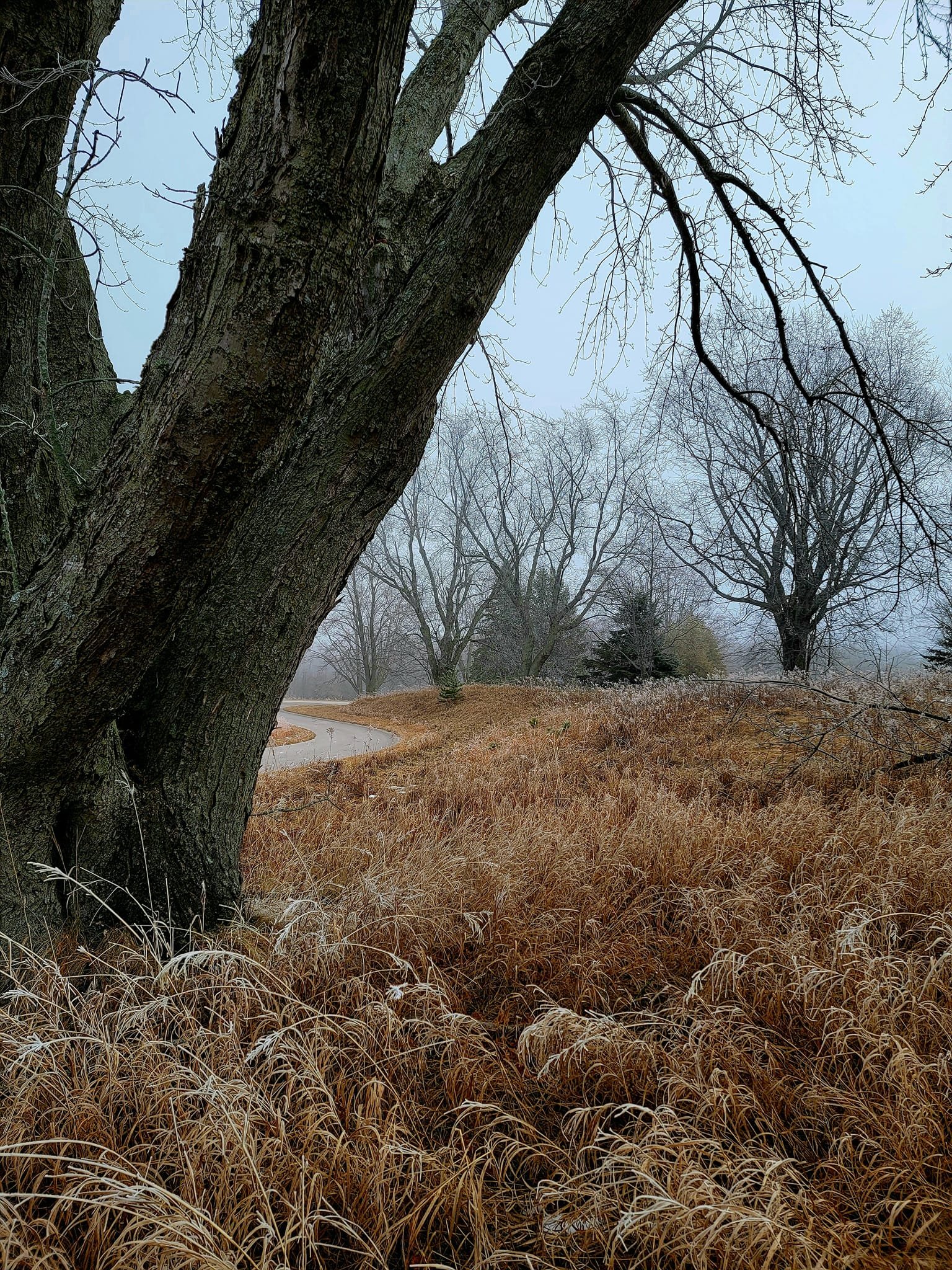 FALC mild winter 2023-24 - 13.jpg