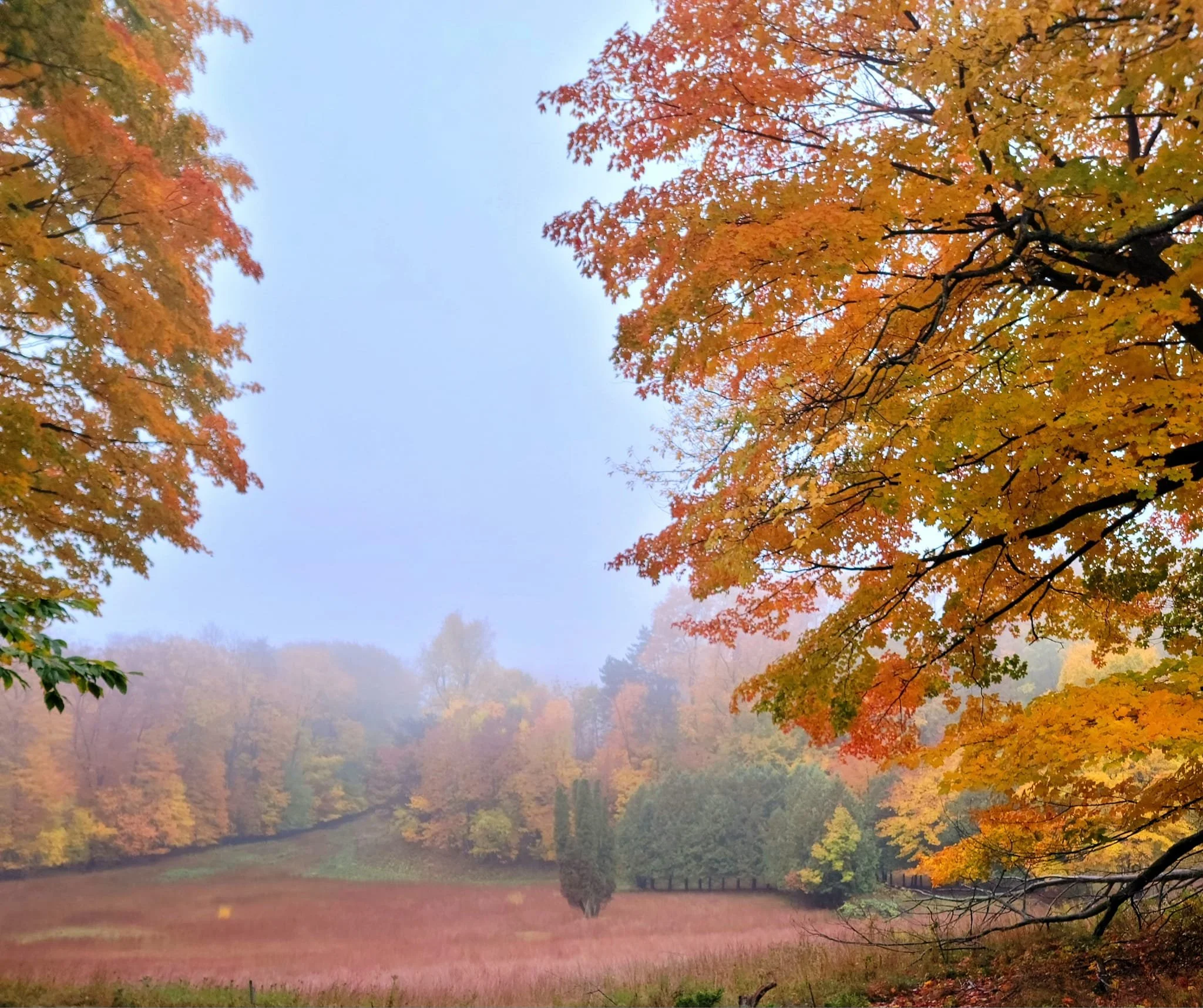 FALC Prairie in autumn 3.jpg