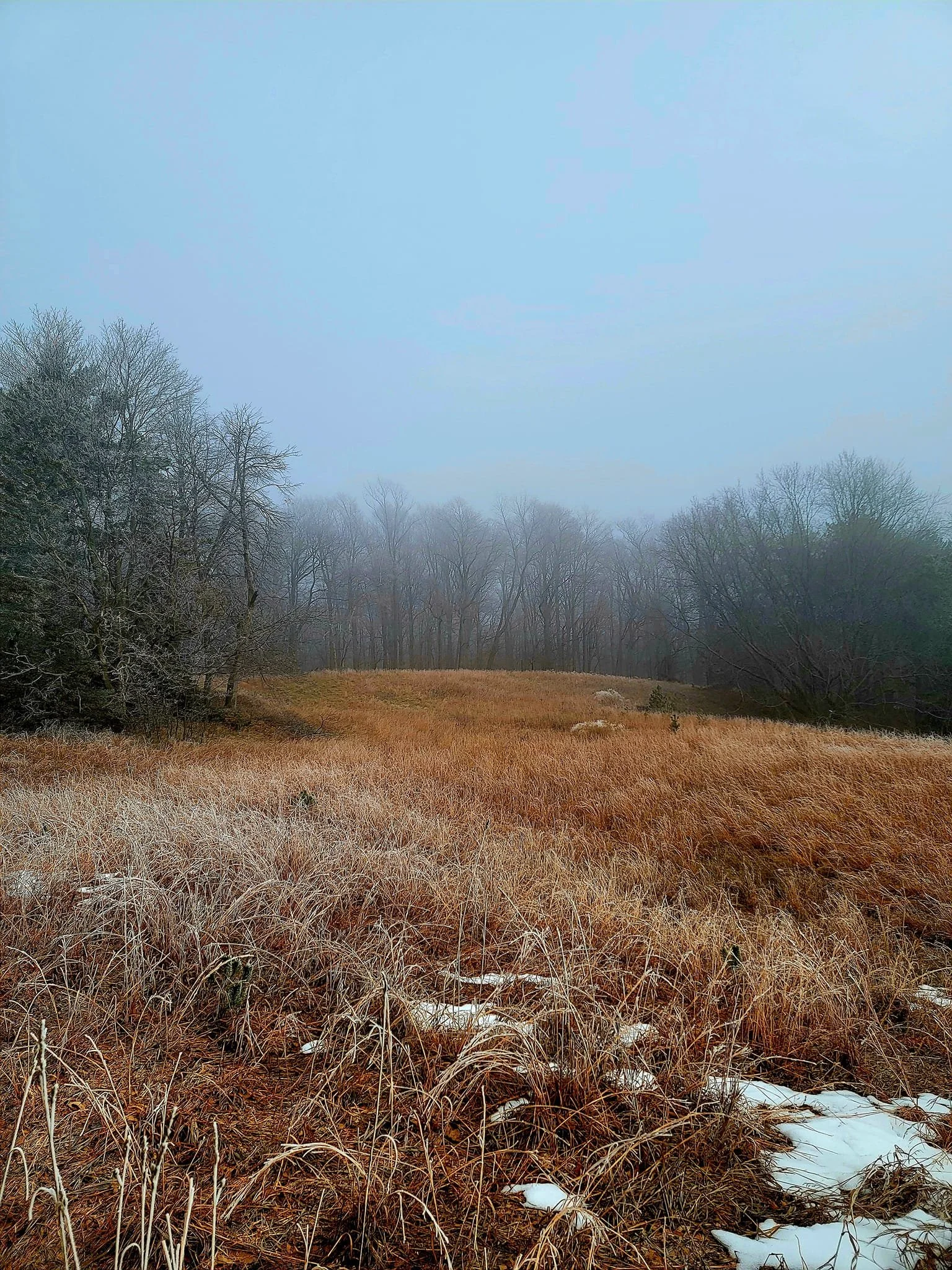 FALC mild winter 2023-24 - 17.jpg