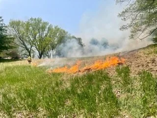 burn7-img-9148 3-1.jpeg