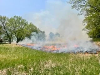 burn8-img-9151 3-2.jpeg