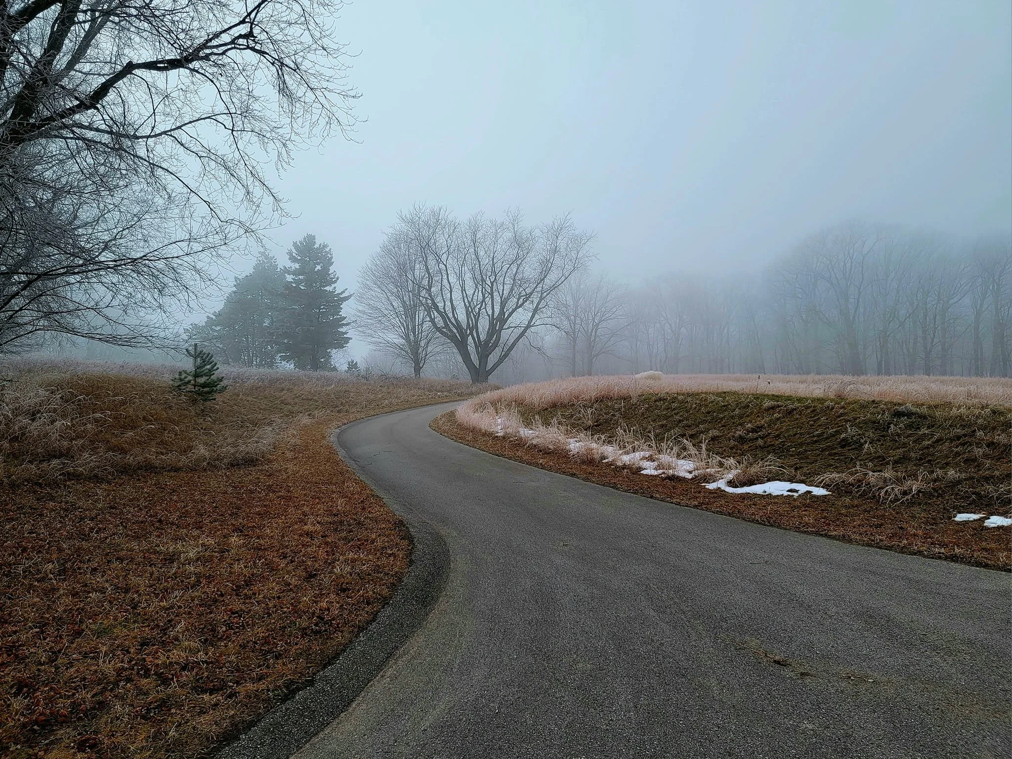 FALC mild winter 2023-24 - 20.jpg