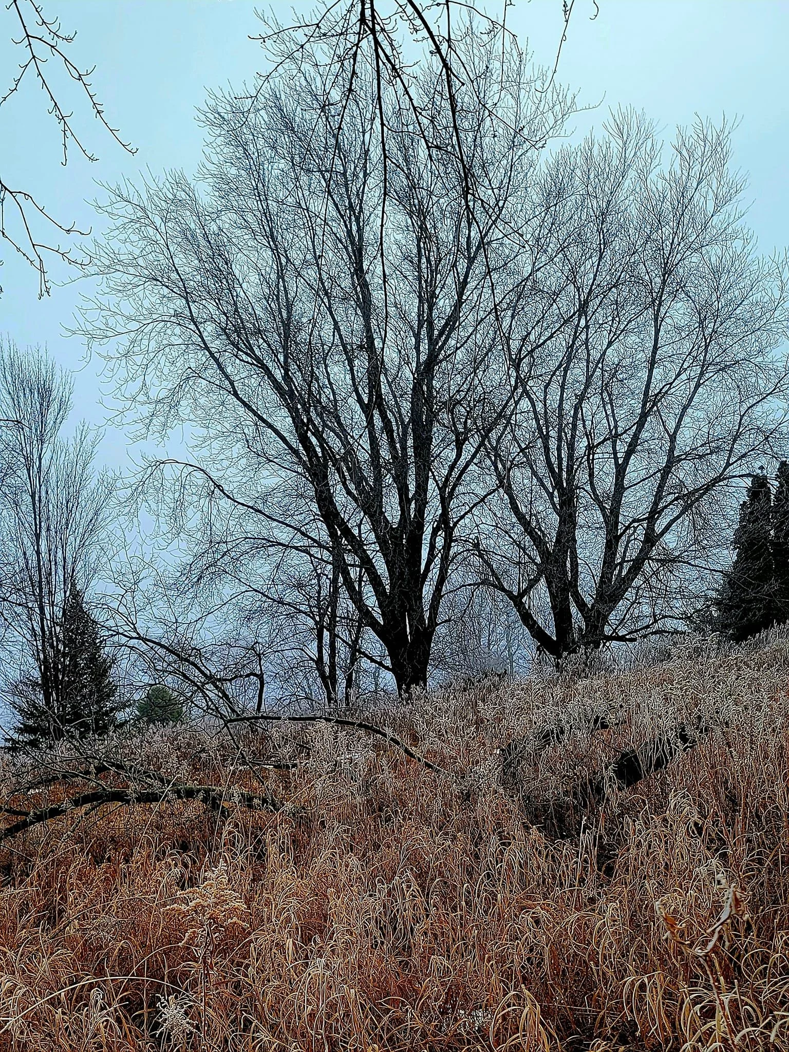 FALC mild winter 2023-24 - 16.jpg