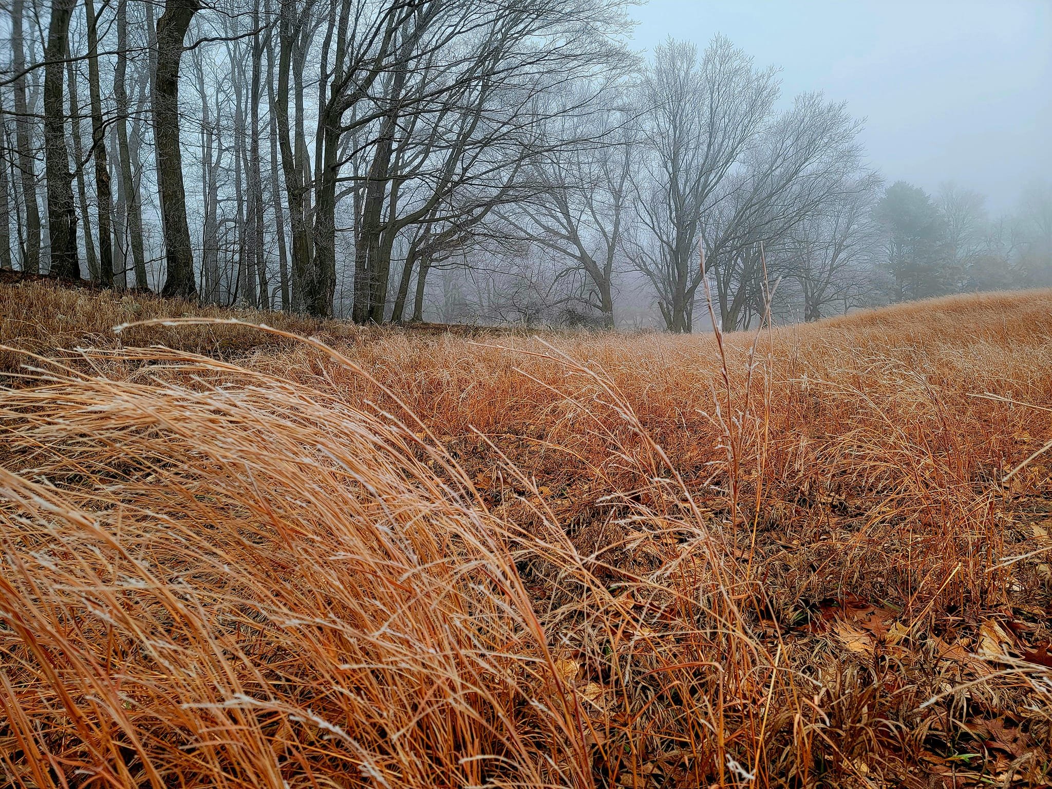 FALC mild winter 2023-24 - 05.jpg