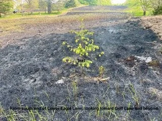 burn20-img-9197 7-2.jpeg