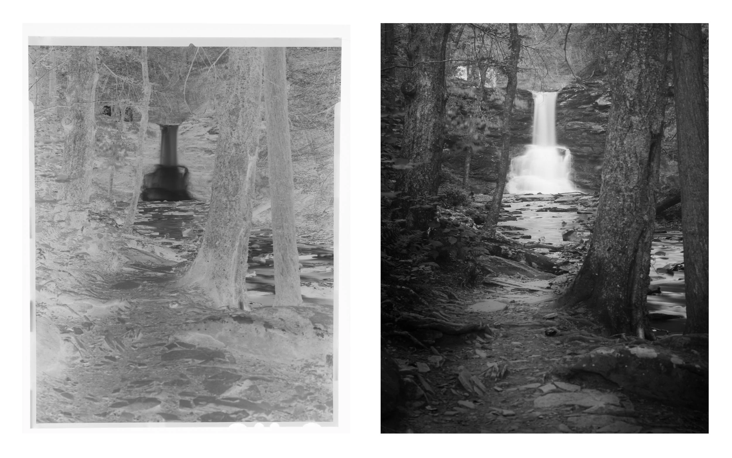 Sheldon Reynolds  Falls